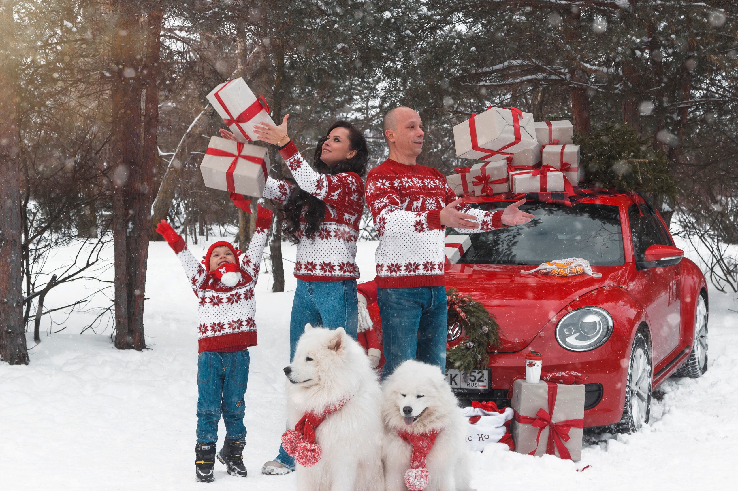 Новогодний красный жук. Фотограф Ольга Бобб Нижний Новгород