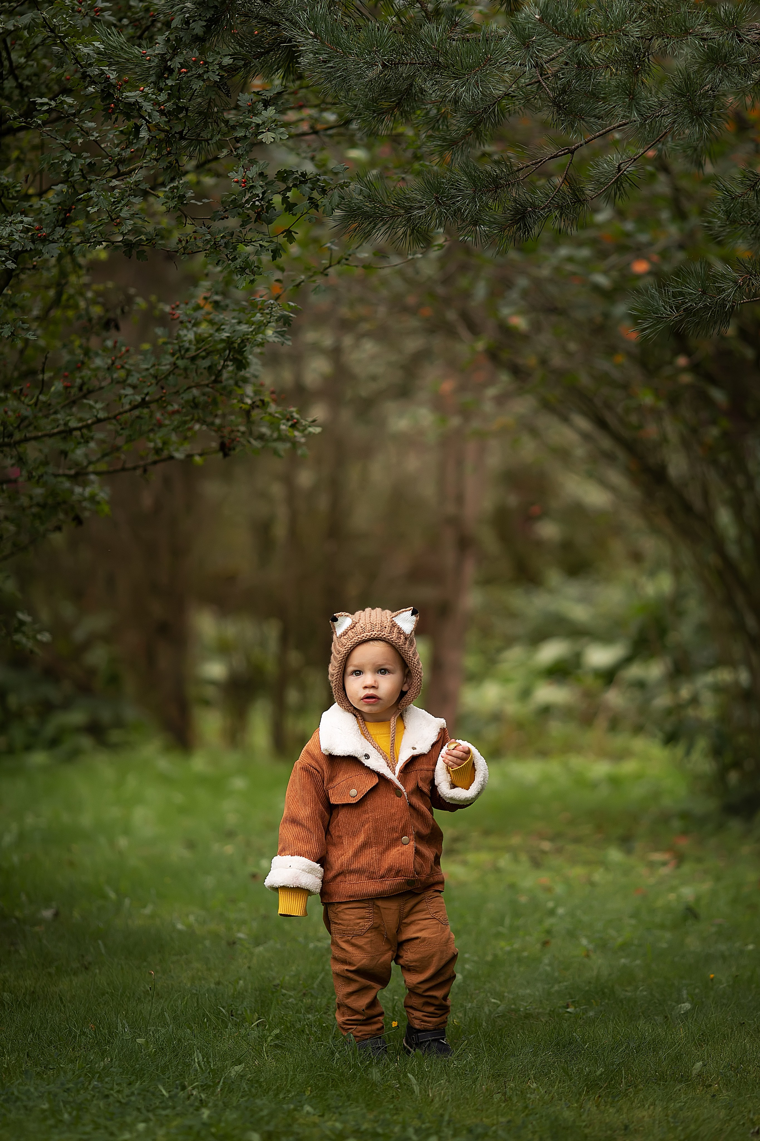 Сказочная осень. Главная