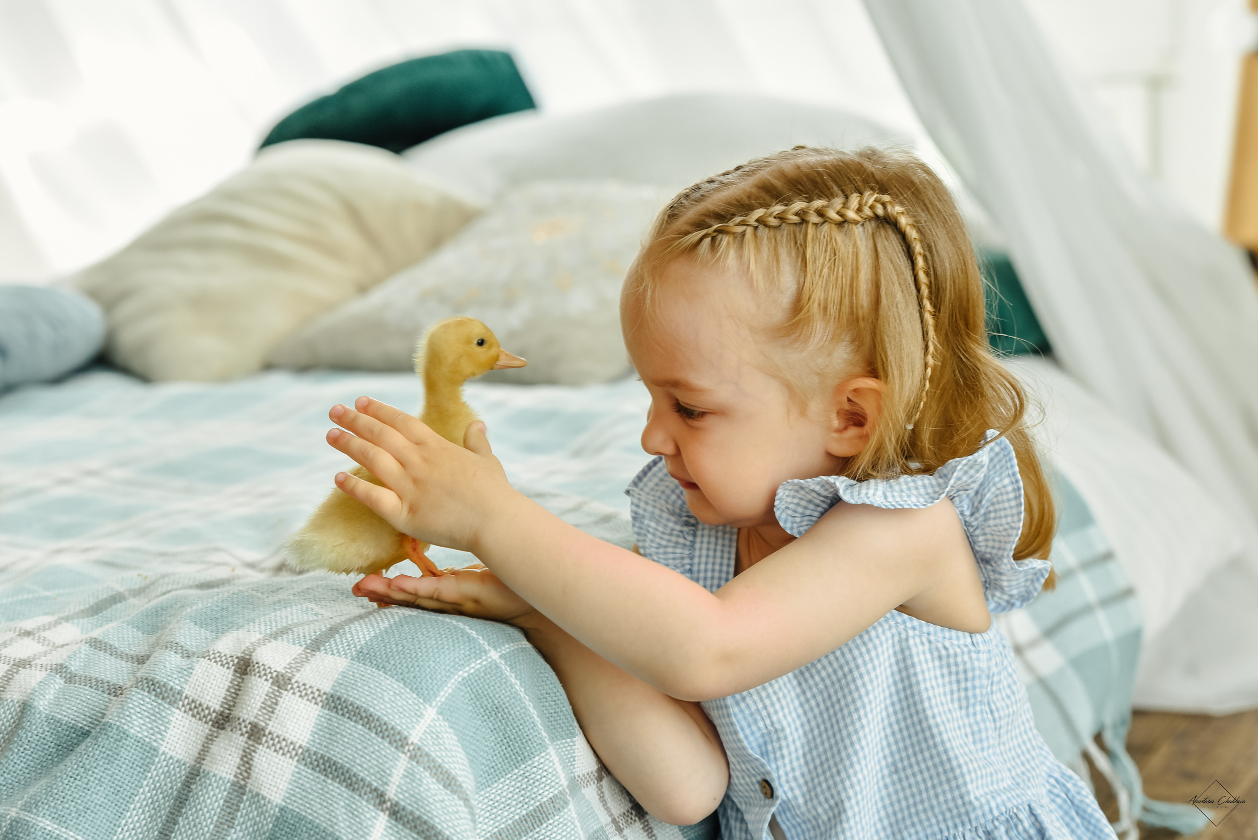 Фотодень с утятами. Свадебный и семейный фотограф в Туле Анастасия Чаликова