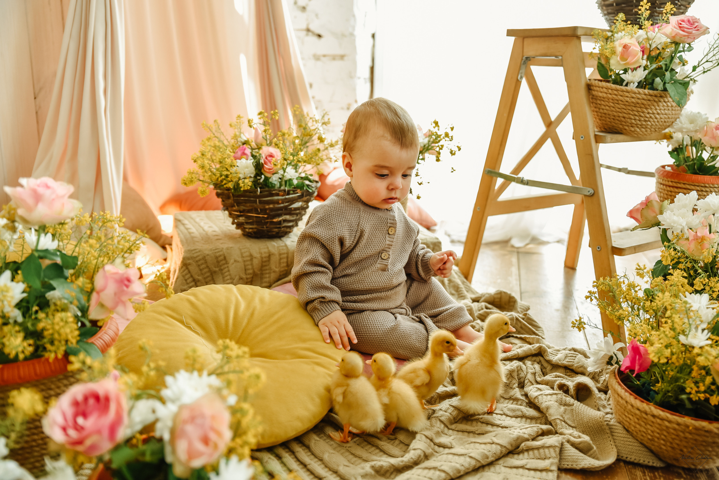 Фотодень с утятами. Свадебный и семейный фотограф в Туле Анастасия Чаликова