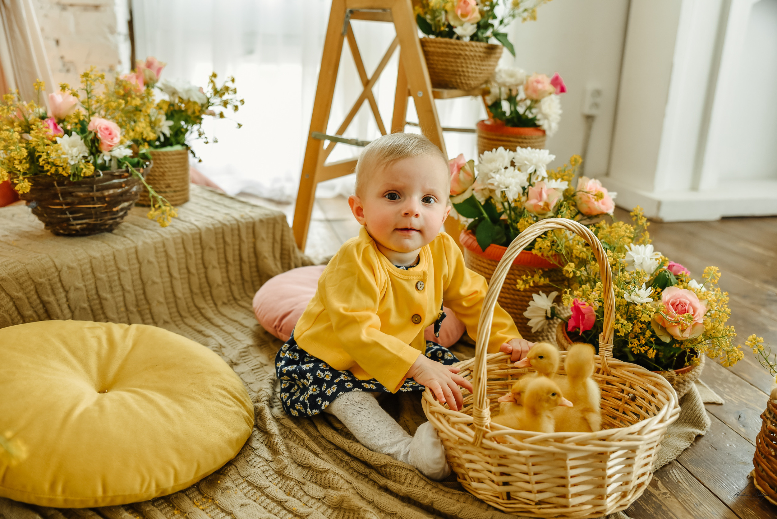 Фотодень с утятами. Свадебный и семейный фотограф в Туле Анастасия Чаликова