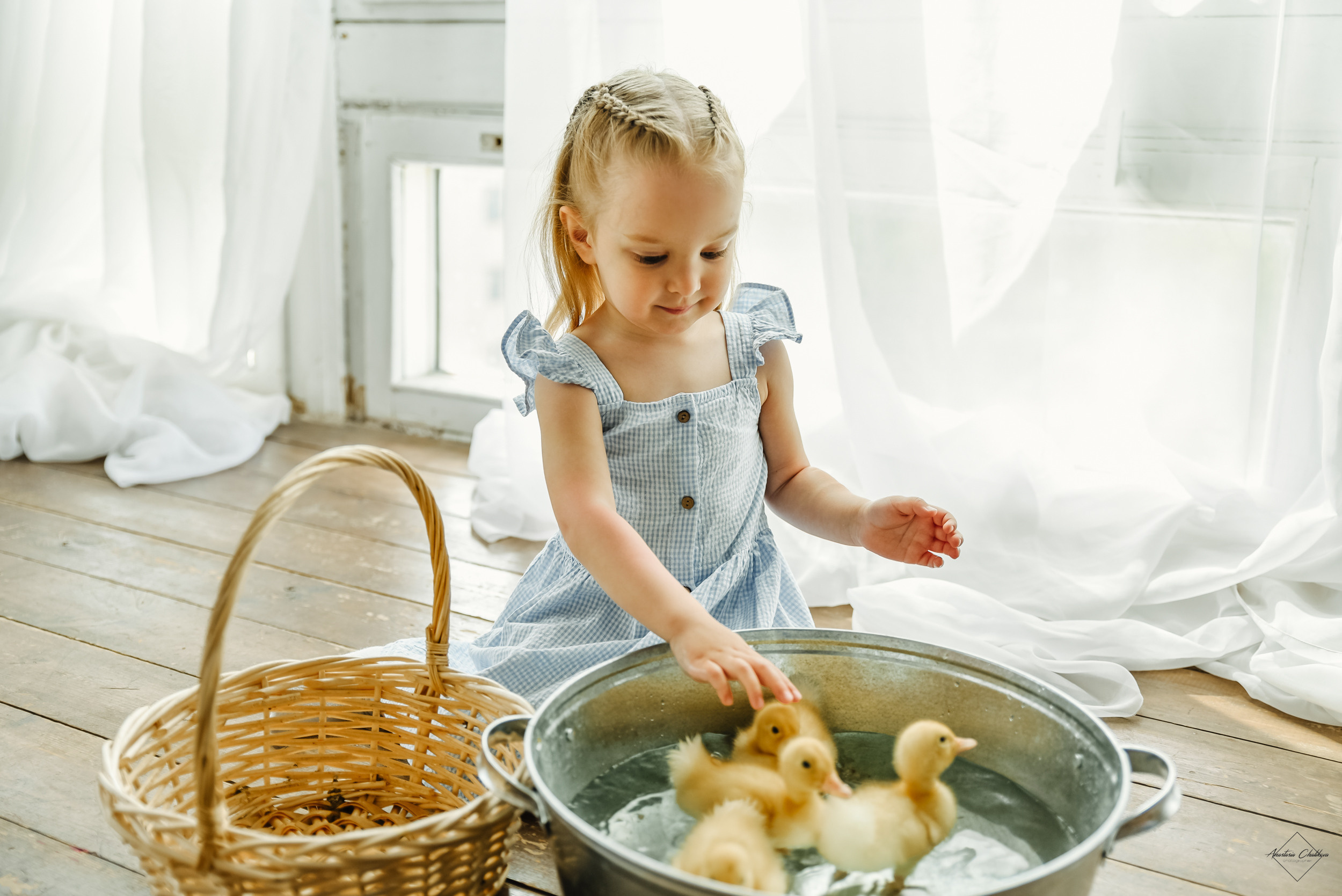 Фотодень с утятами. Свадебный и семейный фотограф в Туле Анастасия Чаликова