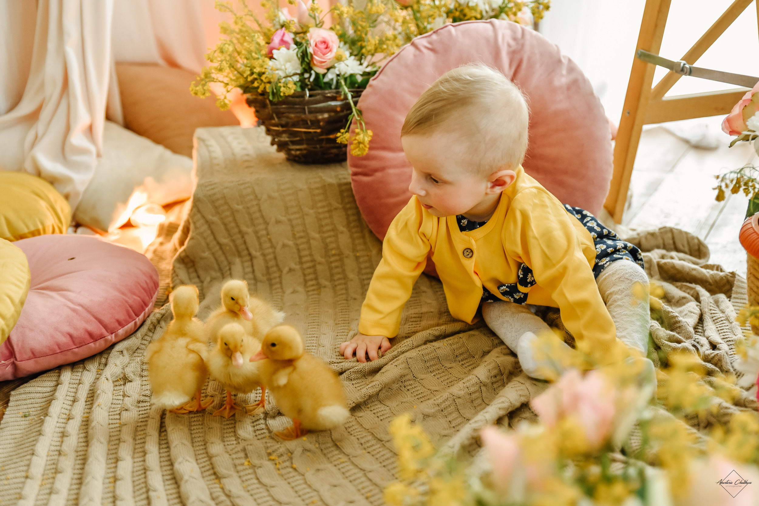 Фотодень с утятами. Свадебный и семейный фотограф в Туле Анастасия Чаликова