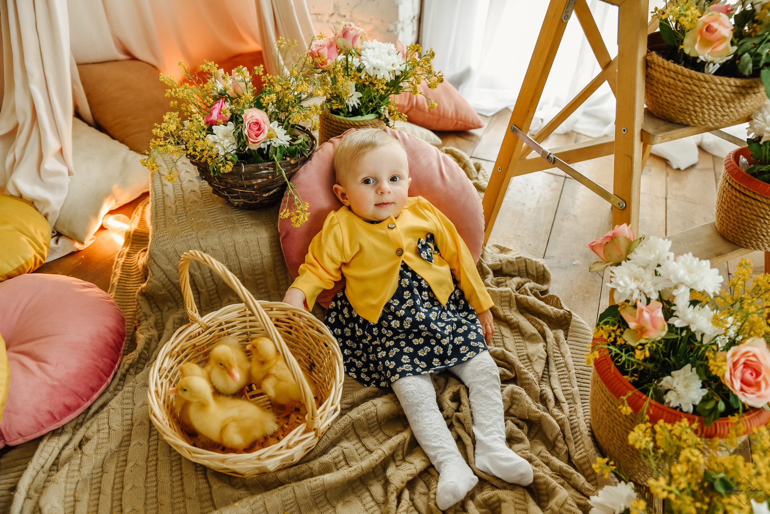 Фотодень с утятами. Свадебный и семейный фотограф в Туле Анастасия Чаликова