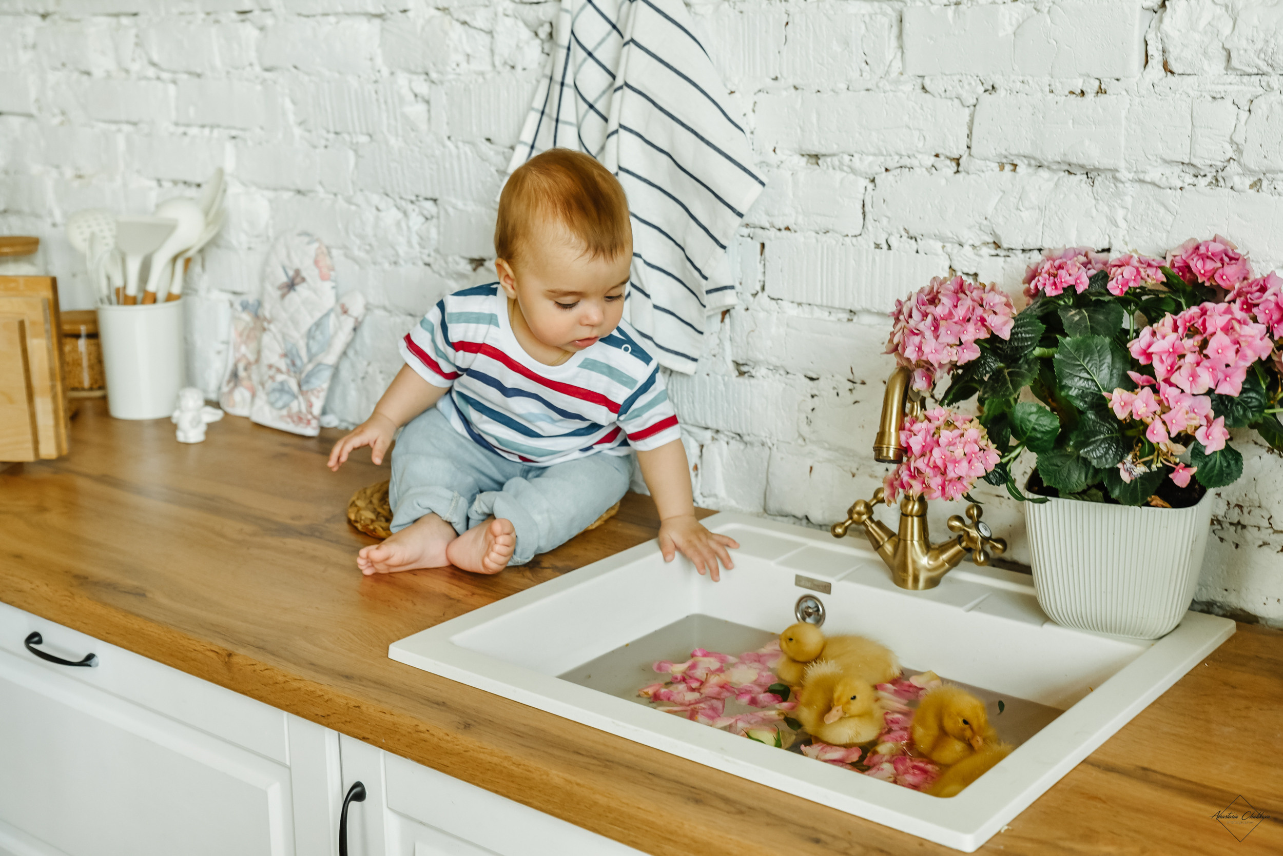 Фотодень с утятами. Свадебный и семейный фотограф в Туле Анастасия Чаликова