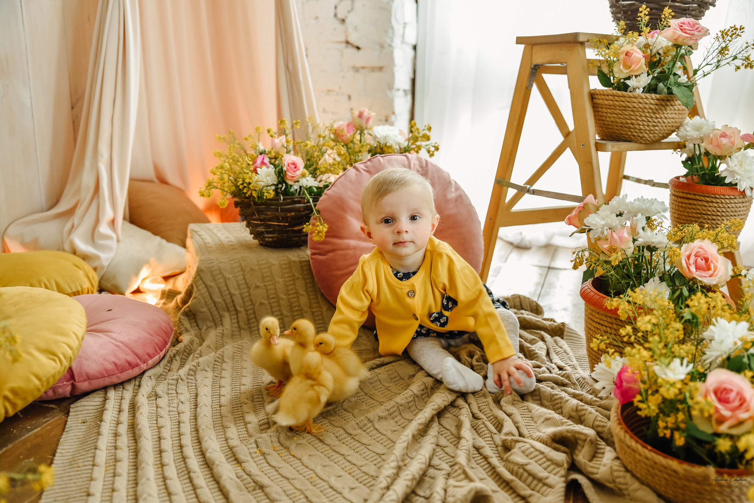 Фотодень с утятами. Свадебный и семейный фотограф в Туле Анастасия Чаликова