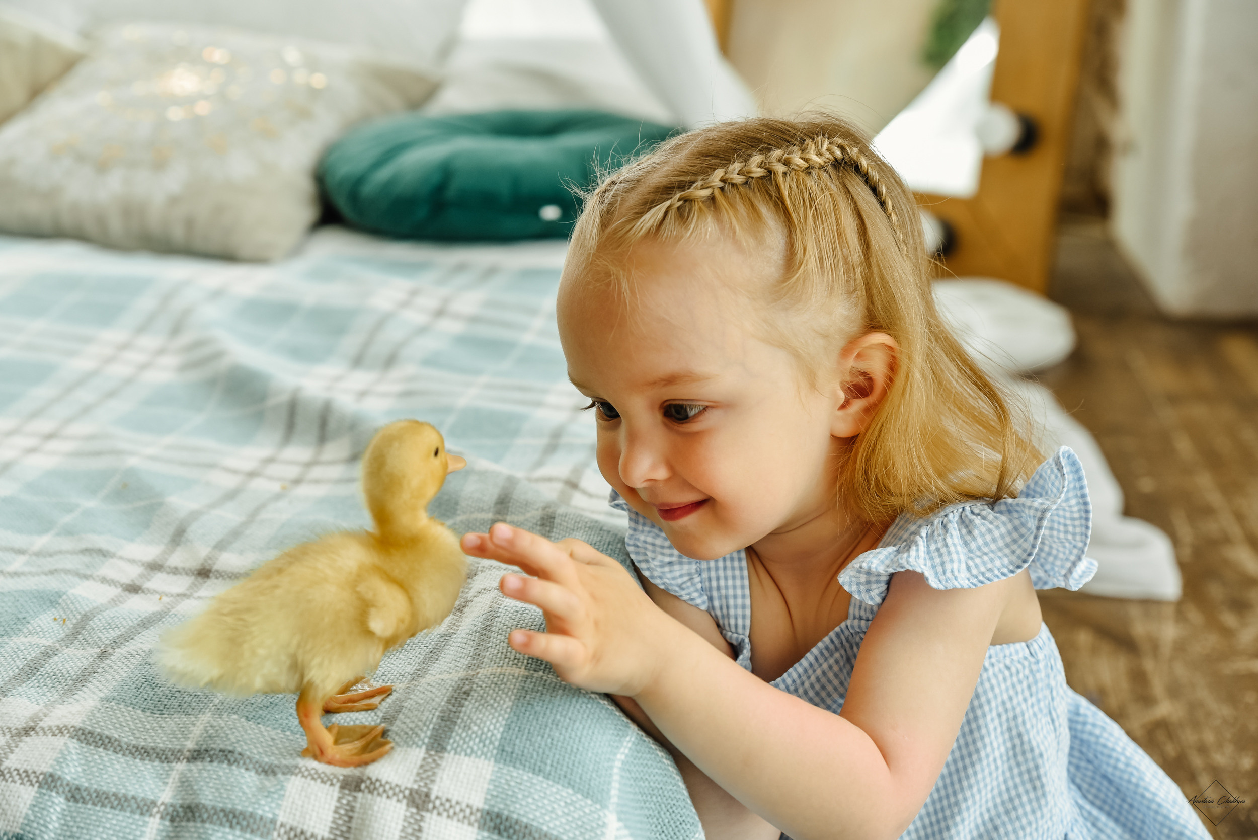 Фотодень с утятами. Свадебный и семейный фотограф в Туле Анастасия Чаликова