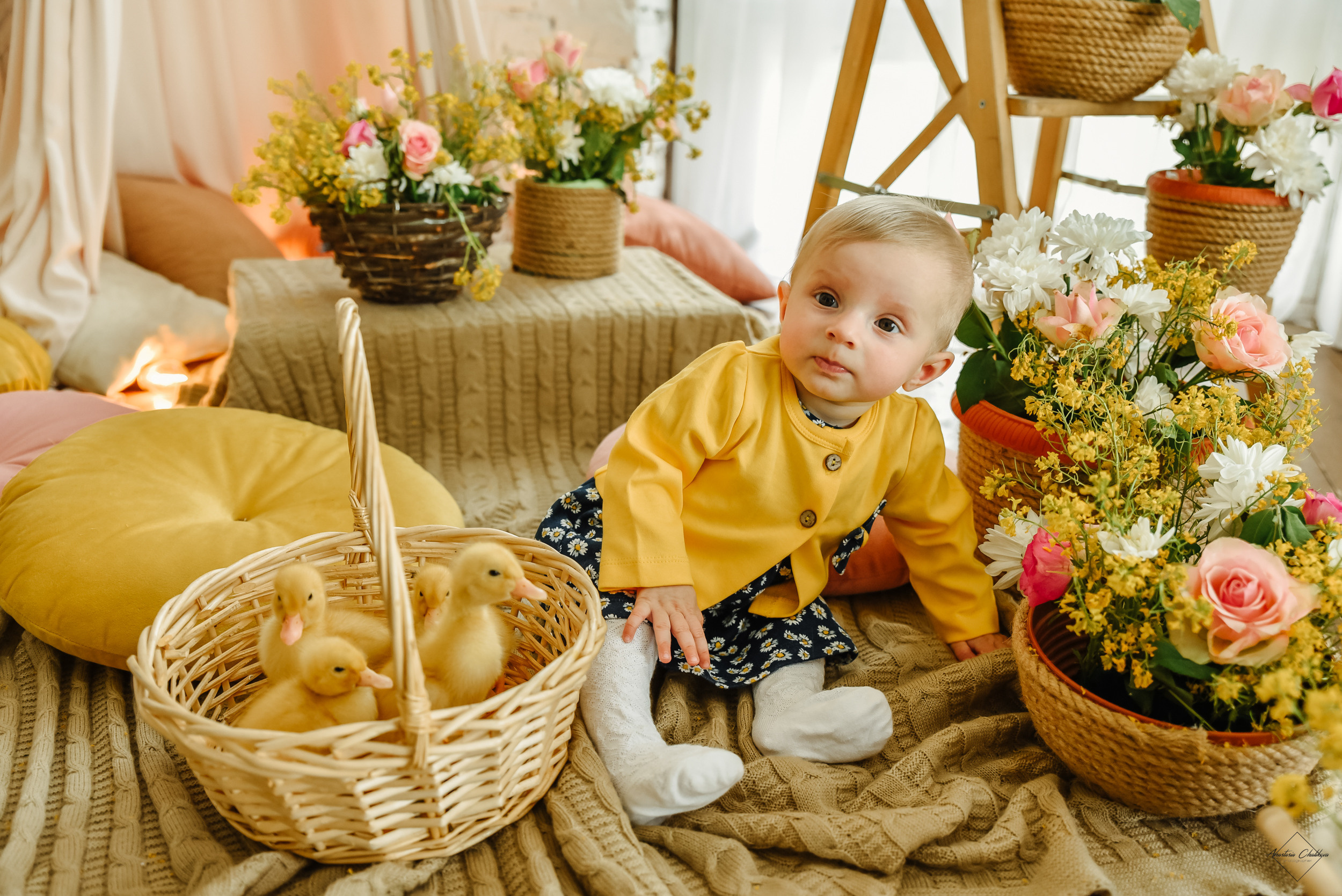 Фотодень с утятами. Свадебный и семейный фотограф в Туле Анастасия Чаликова