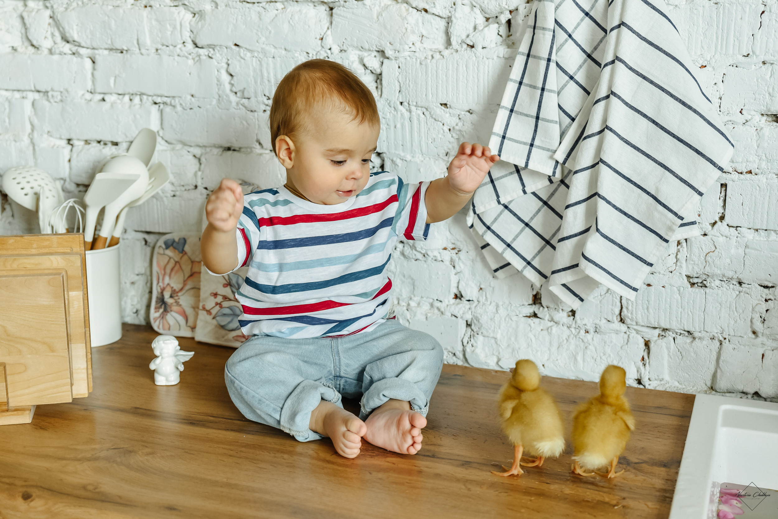 Фотодень с утятами. Свадебный и семейный фотограф в Туле Анастасия Чаликова