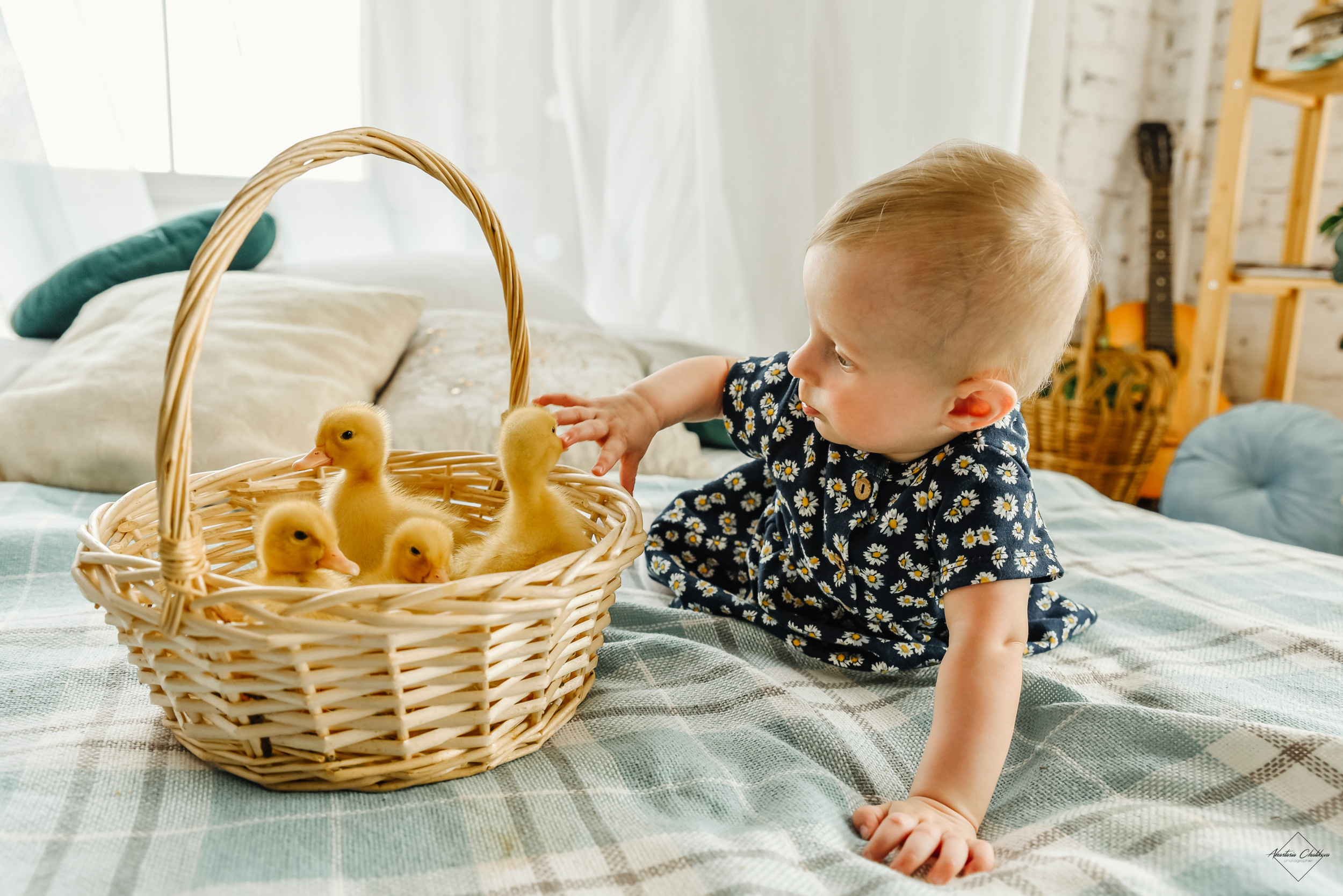 Фотодень с утятами. Свадебный и семейный фотограф в Туле Анастасия Чаликова