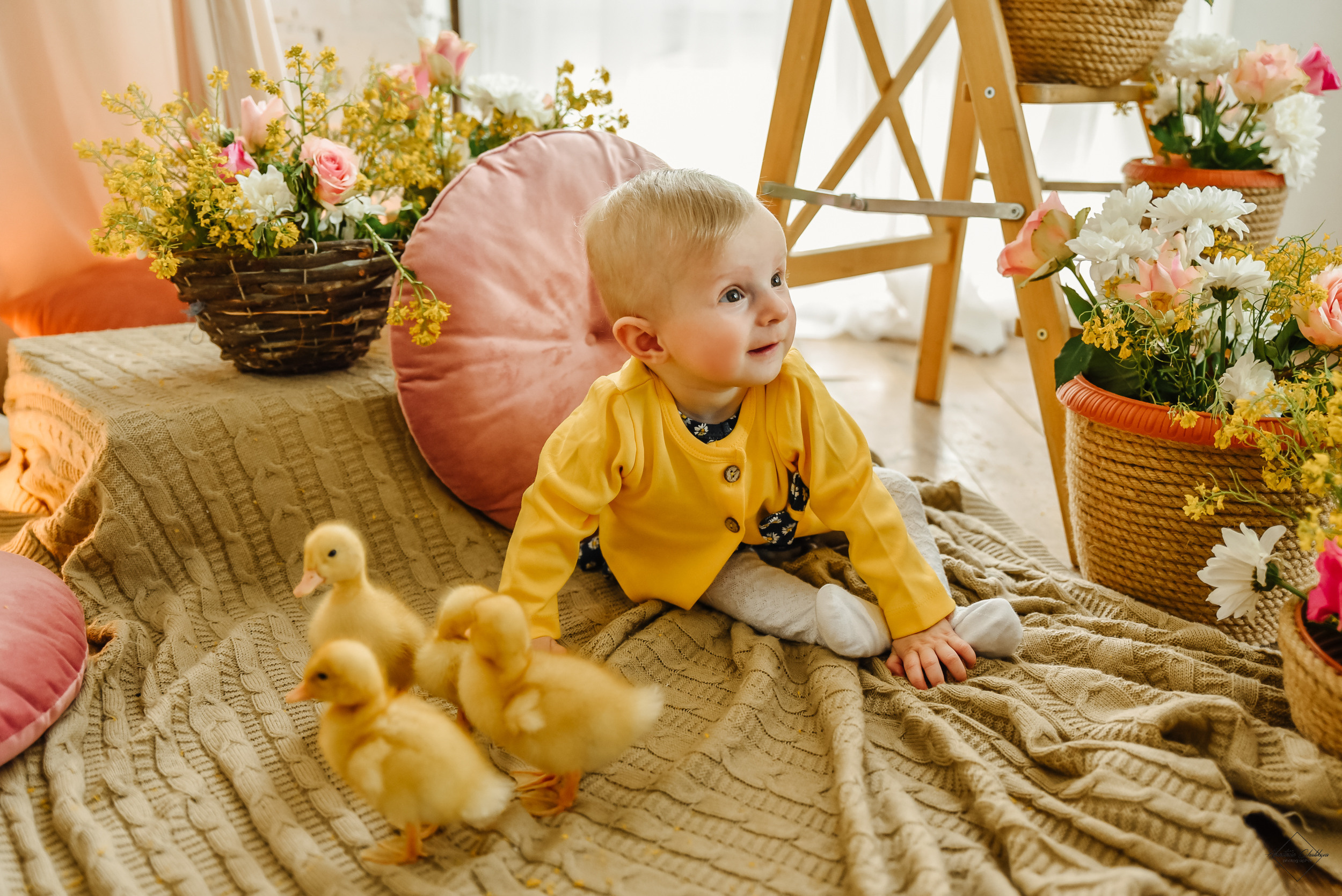 Фотодень с утятами. Свадебный и семейный фотограф в Туле Анастасия Чаликова