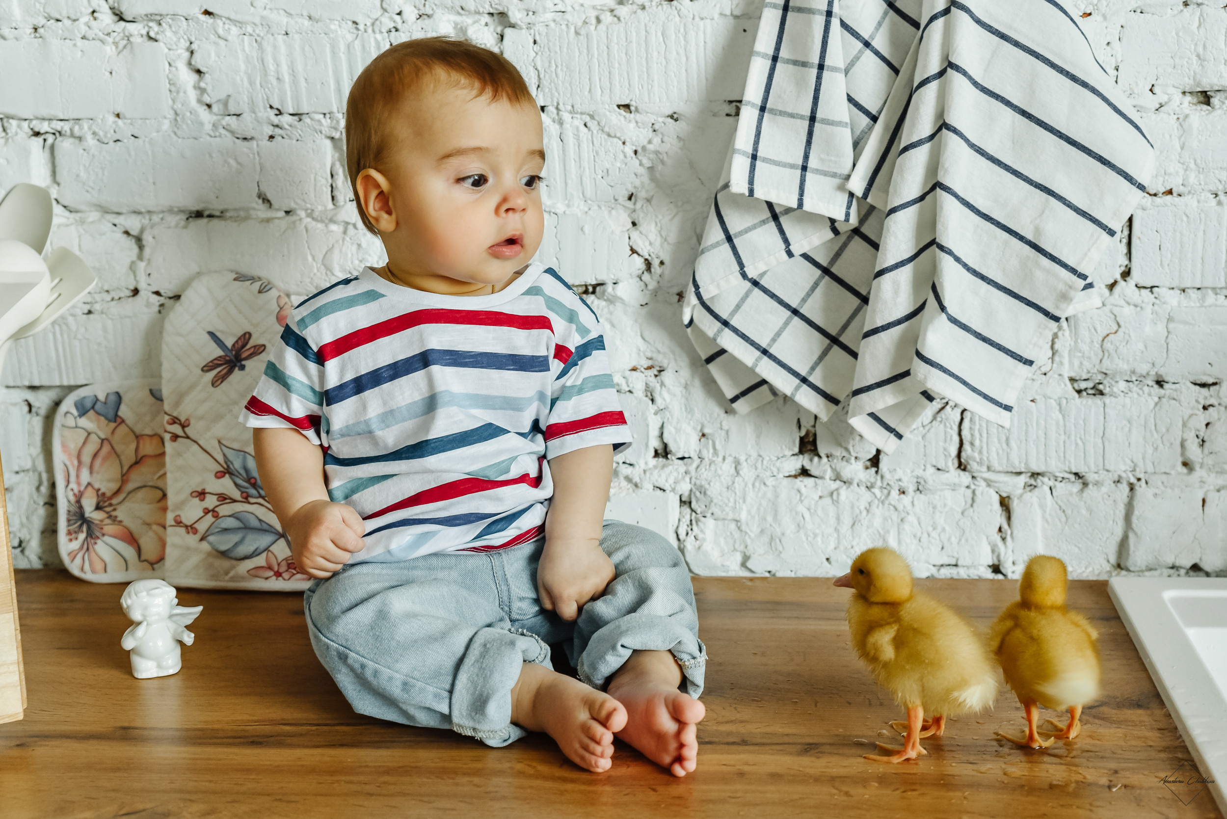 Фотодень с утятами. Свадебный и семейный фотограф в Туле Анастасия Чаликова