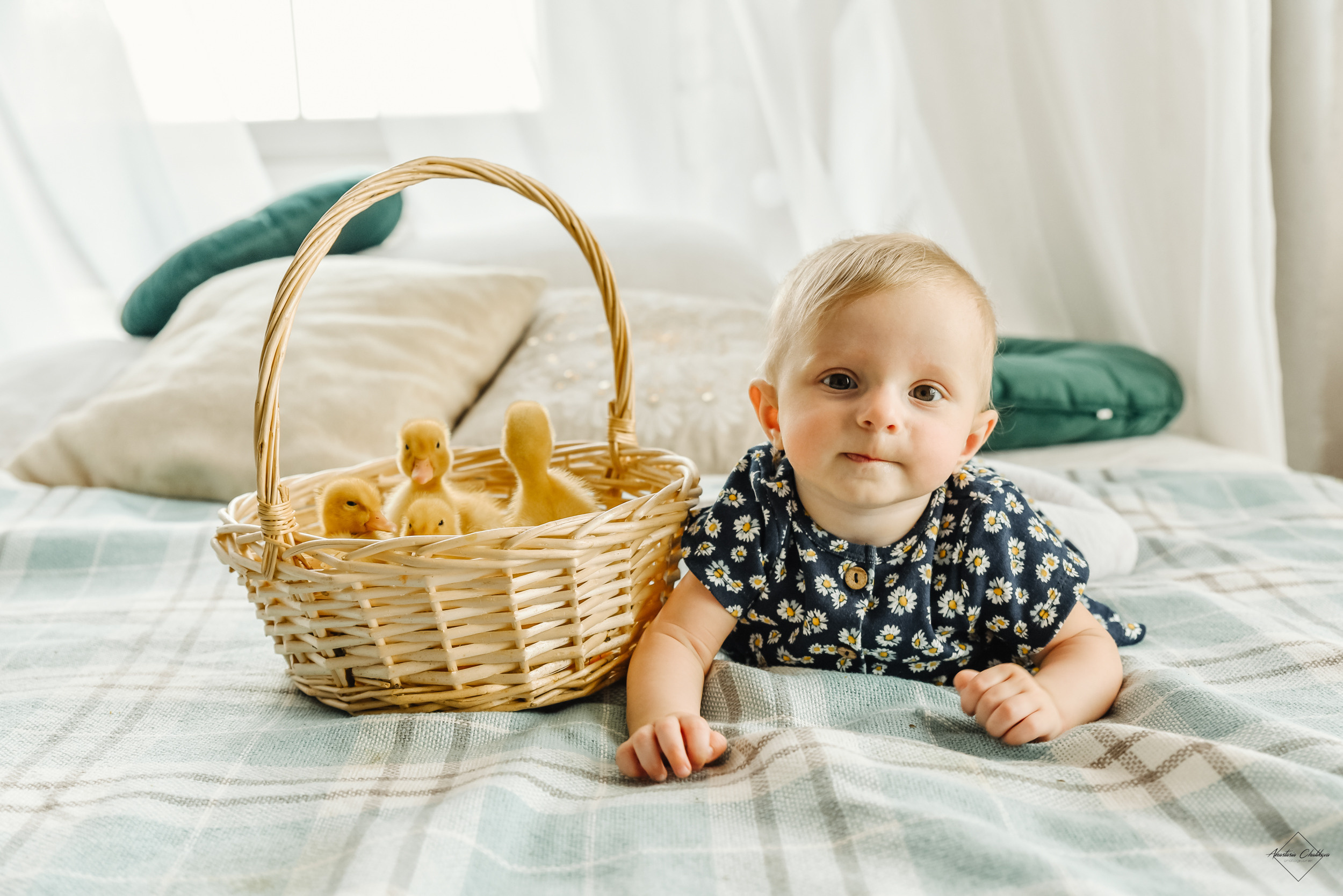 Фотодень с утятами. Свадебный и семейный фотограф в Туле Анастасия Чаликова