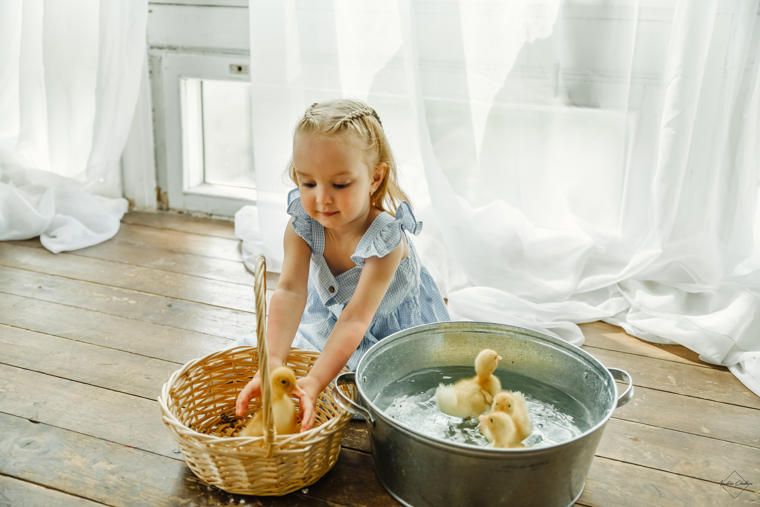 Фотодень с утятами. Свадебный и семейный фотограф в Туле Анастасия Чаликова