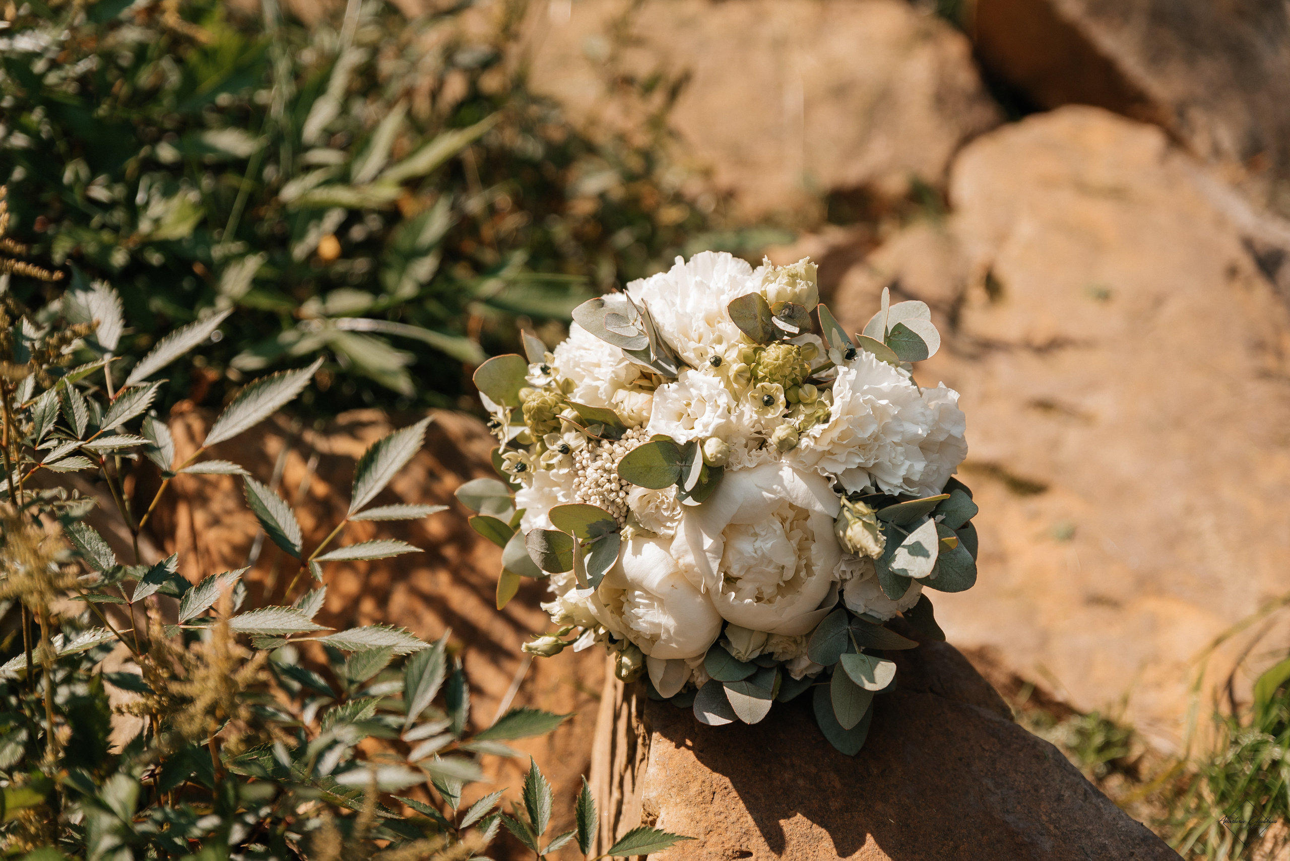 Юля и Илья. Свадебный и семейный фотограф в Туле Анастасия Чаликова