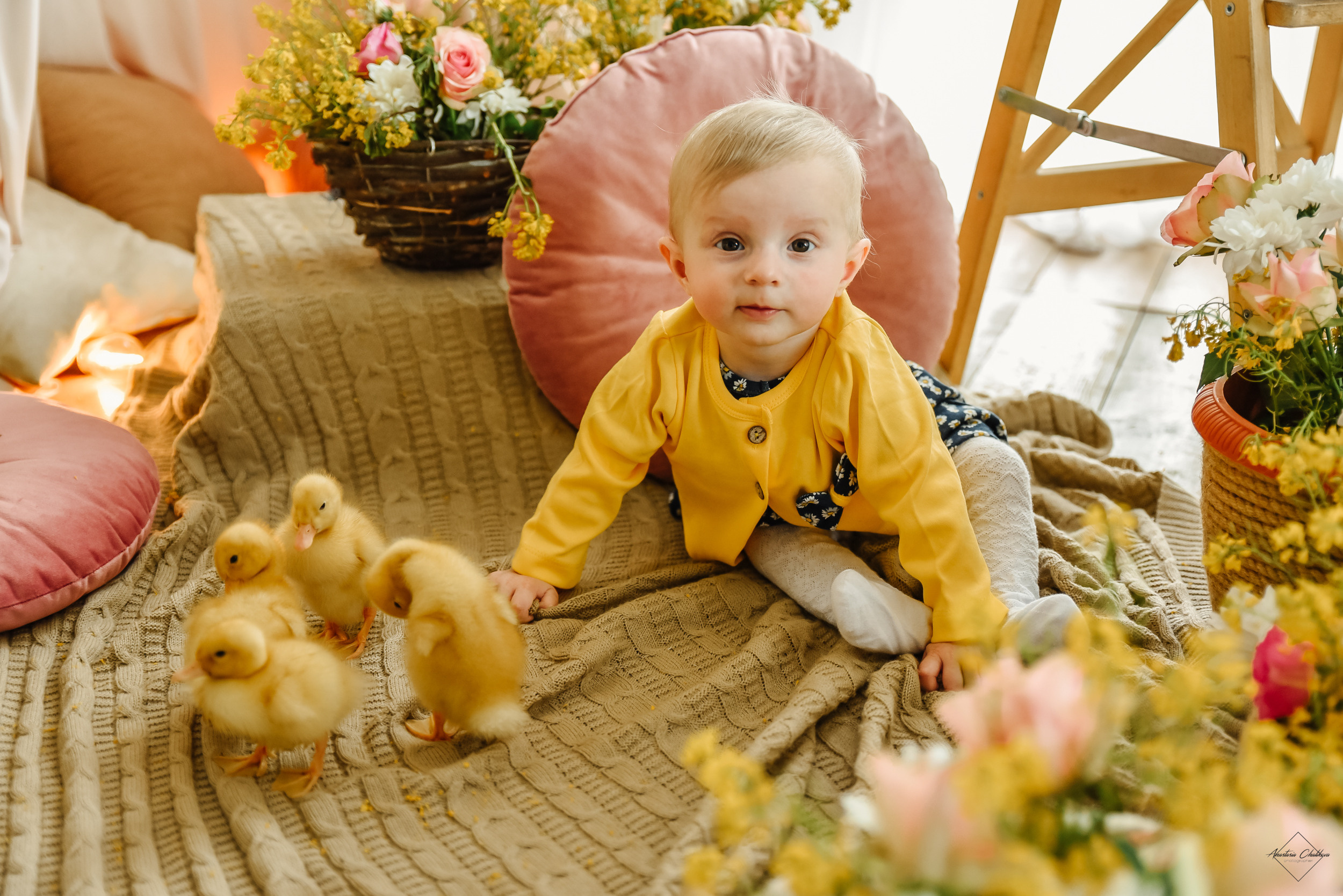 Фотодень с утятами. Свадебный и семейный фотограф в Туле Анастасия Чаликова