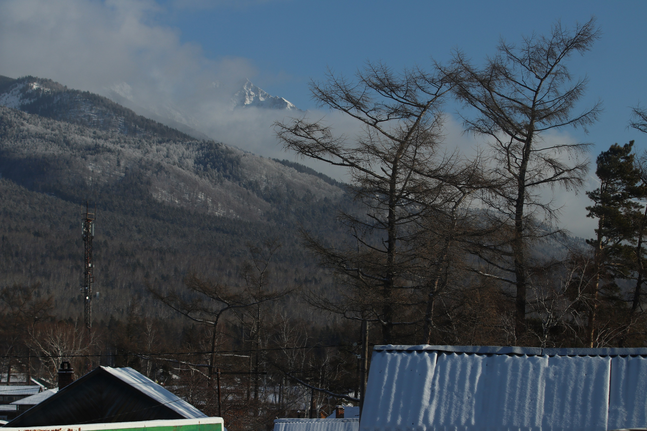 Аршан. Январь 2024. Путешественник-фотограф из Санкт-Петербурга Татьяна Свистулина
