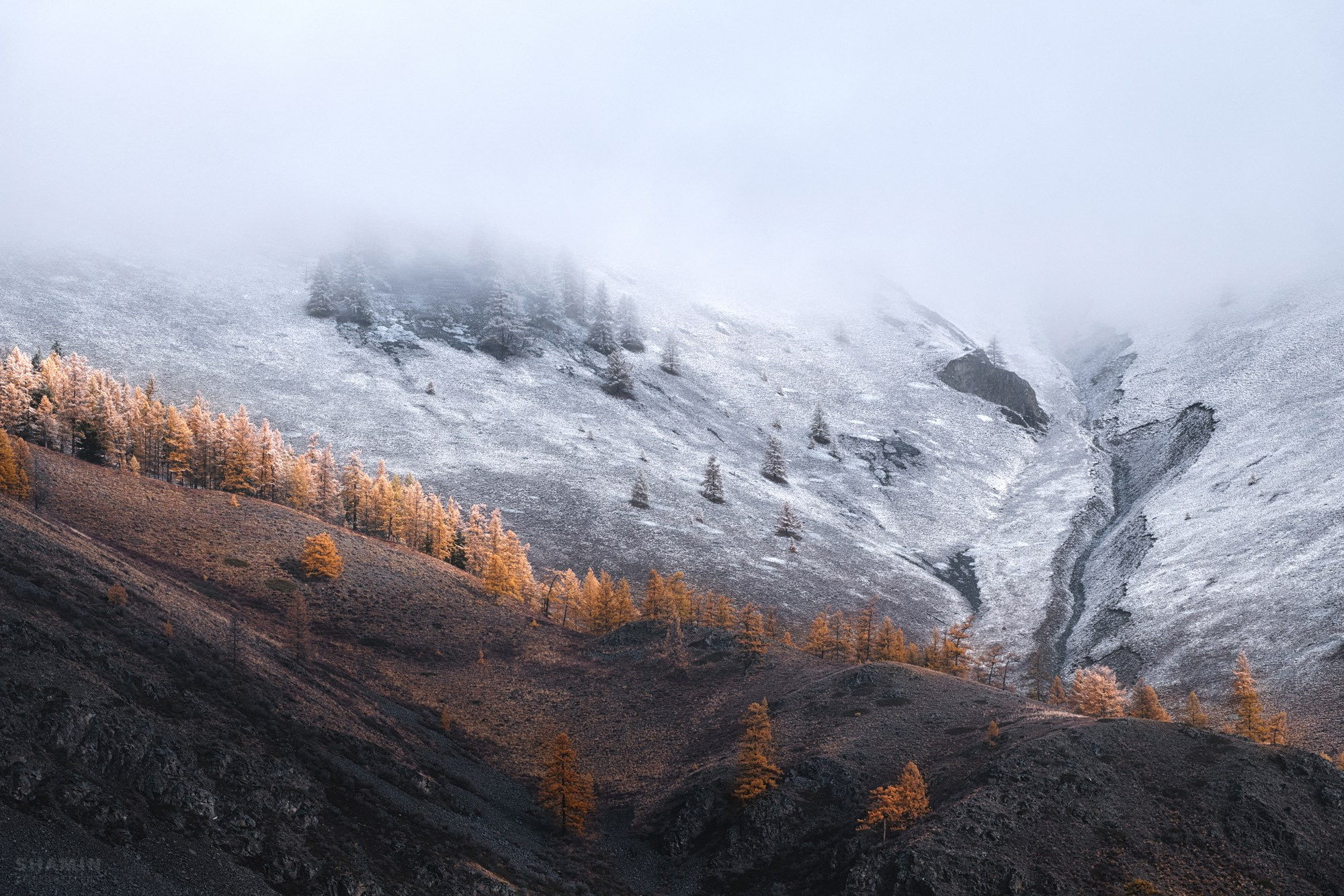 Алтай — пейзажная фотография Константина Шамина. Горы, реки и долины Алтая, природный свет, аэрофотосъёмка и классические пейзажи России.