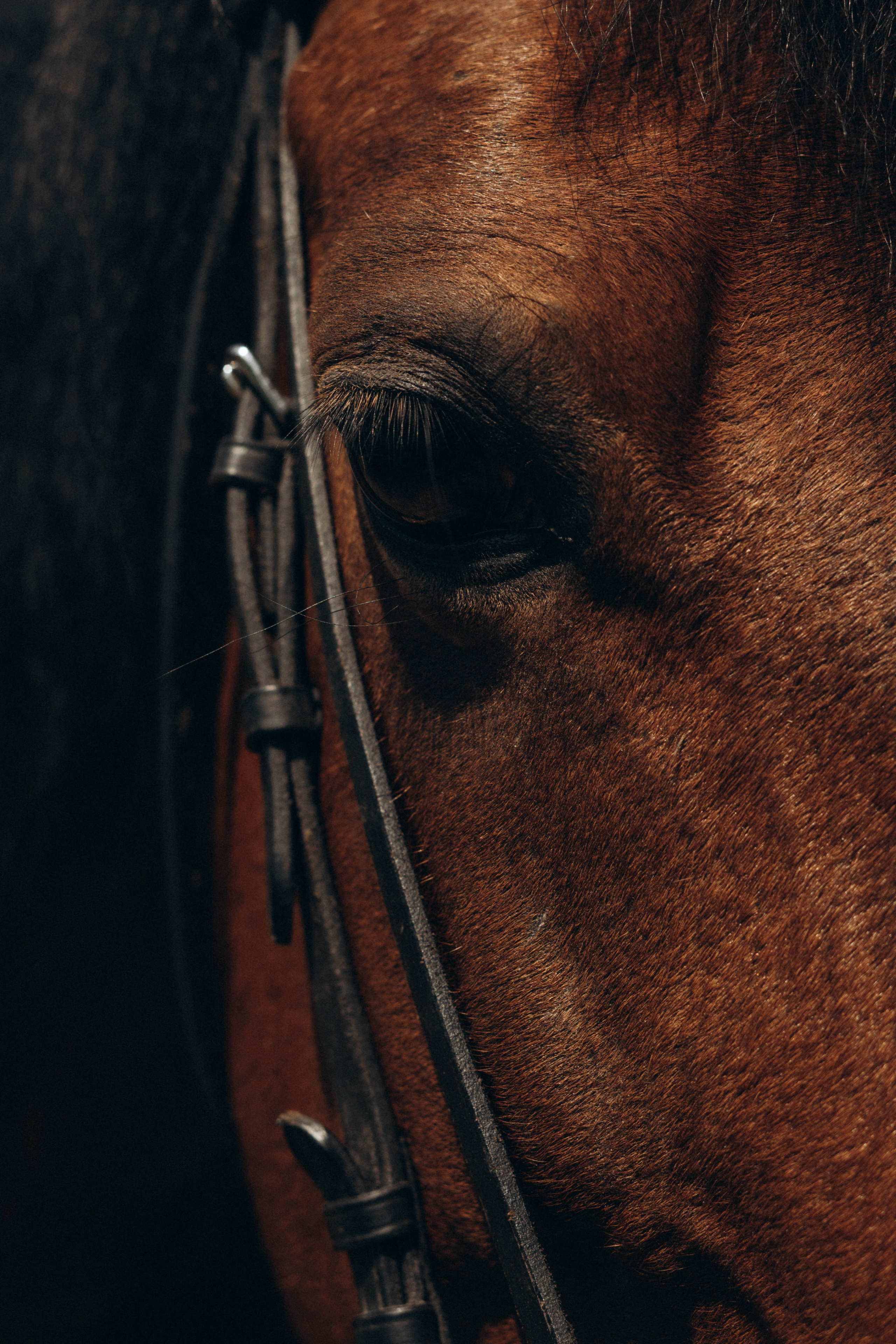 Екатерина Данилова. Портретный фотограф Дарья Бахматова | Нижний Новгород