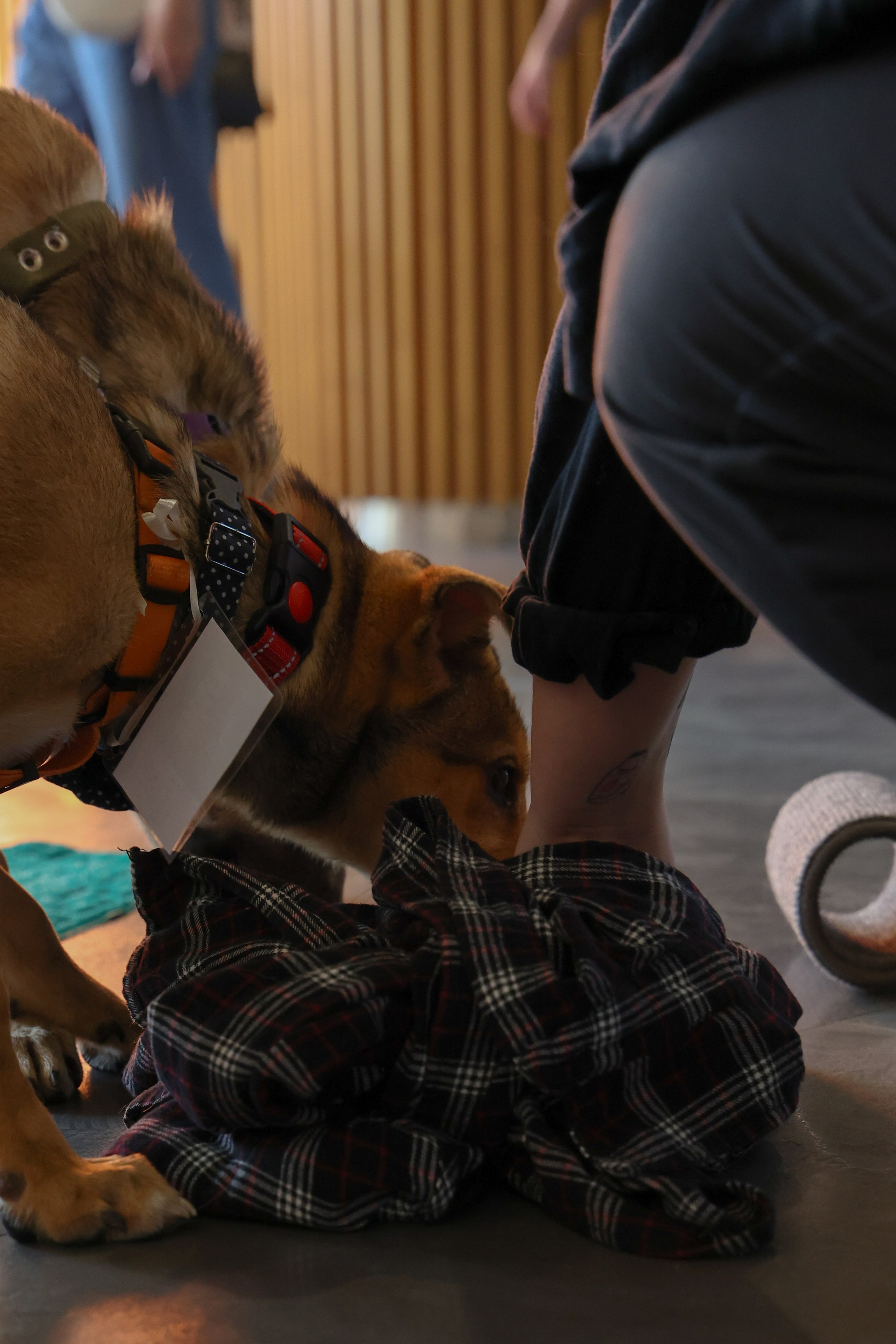 ECO FEST. Фотограф Вадим Бодылев