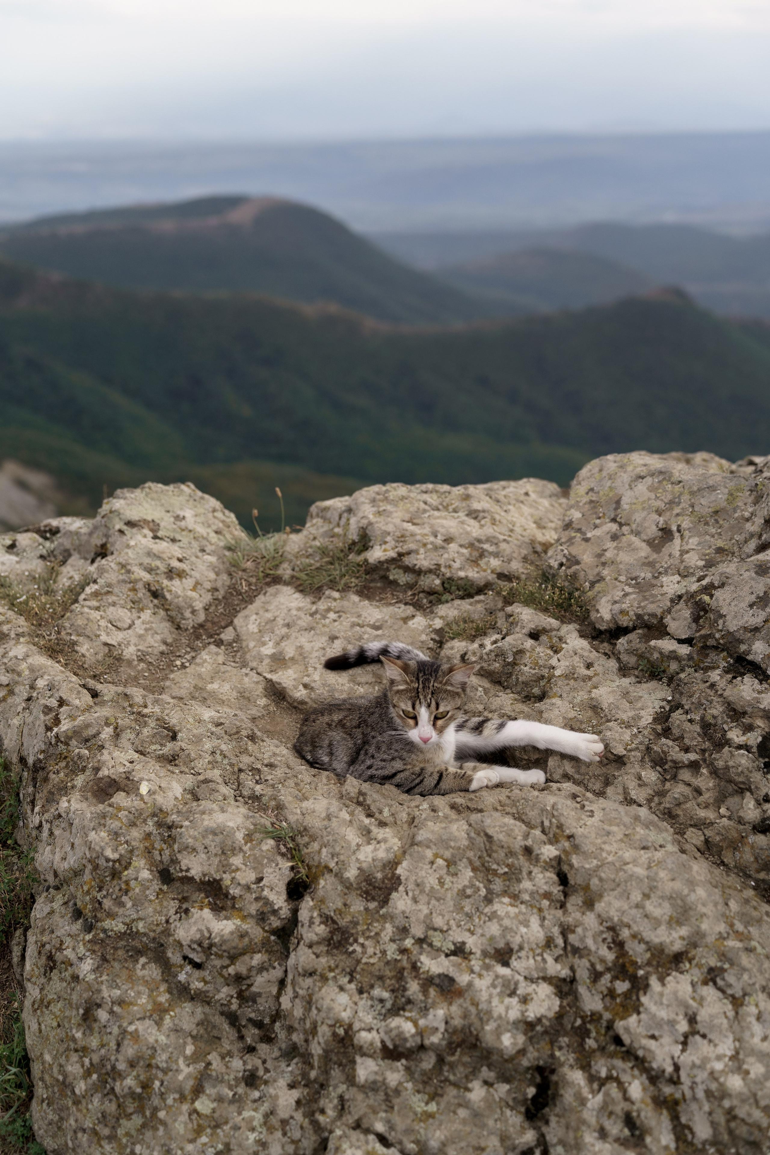 Тбилиси: Влад и Аня. Свадебный и индивидуальный фотограф Татьяна Гуляева