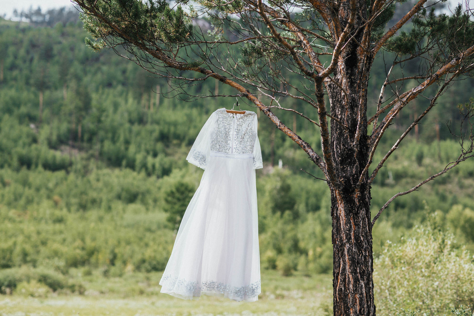 Алексей и Анна — 12 августа. Свадебный организатор в Чите Елена Супонова