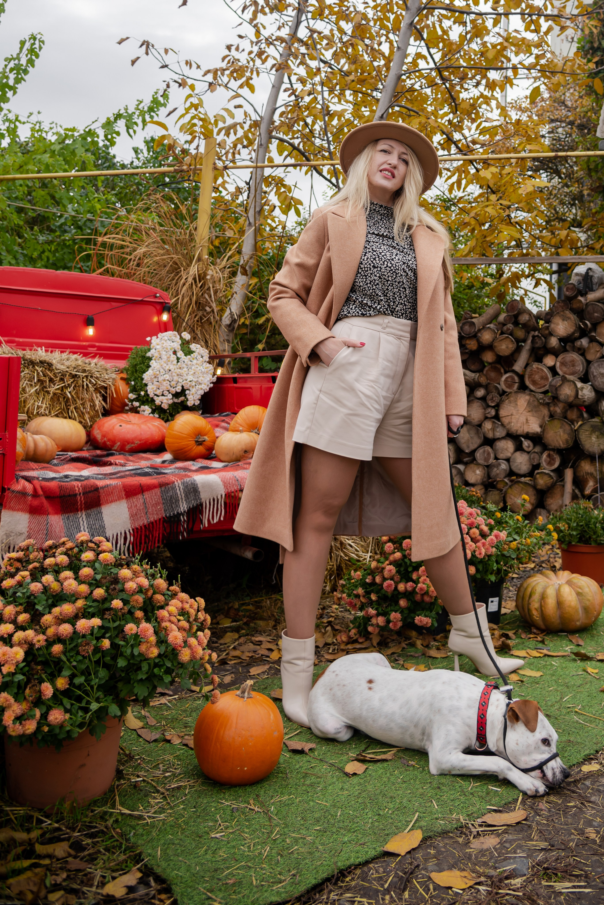 Авакадо. Фотограф Галина Нестерова