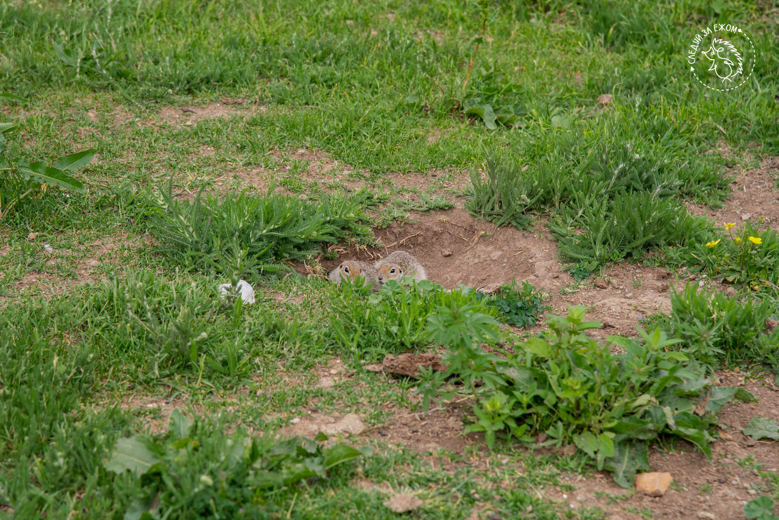 Тур в Чегем. Фотограф Галина Нестерова