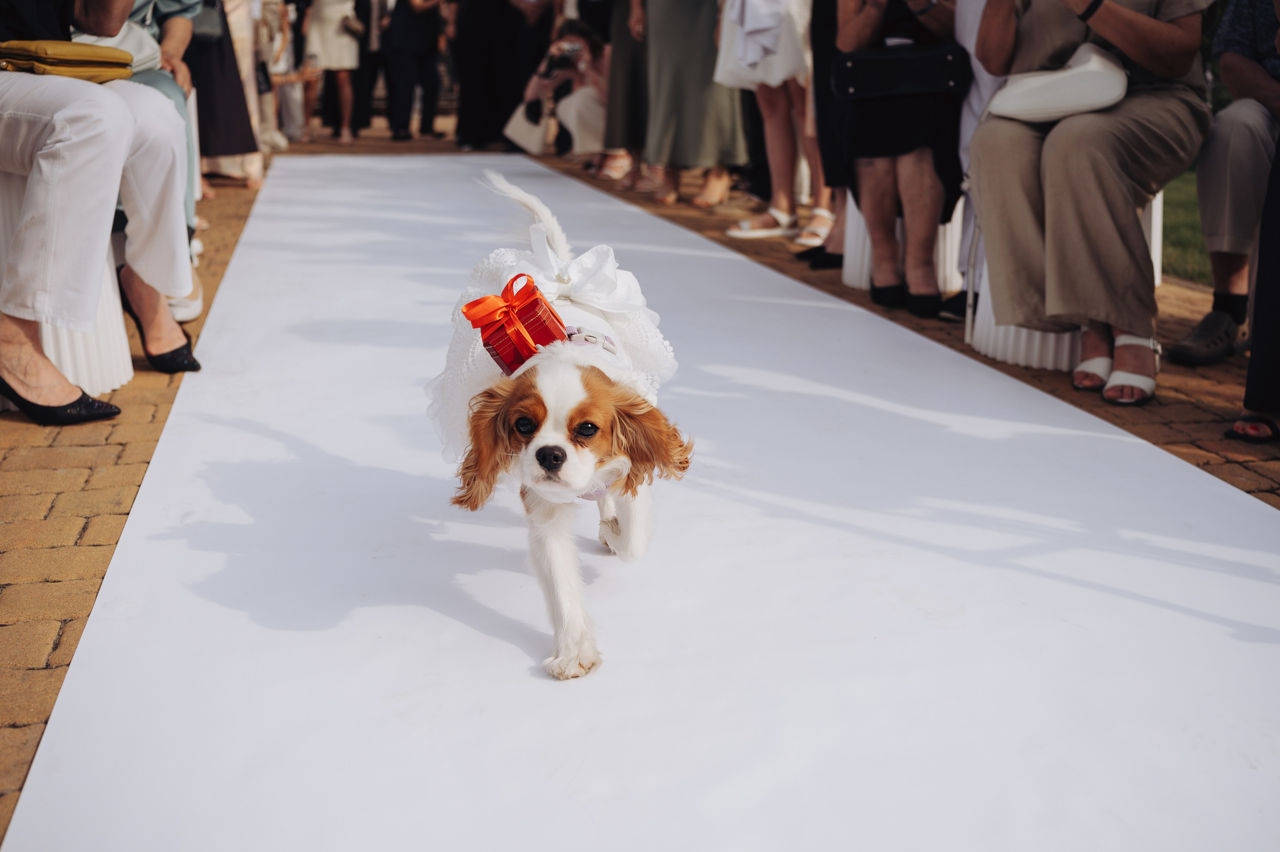 Свадебный фотограф Волгодонск Ростов Краснодар Москва