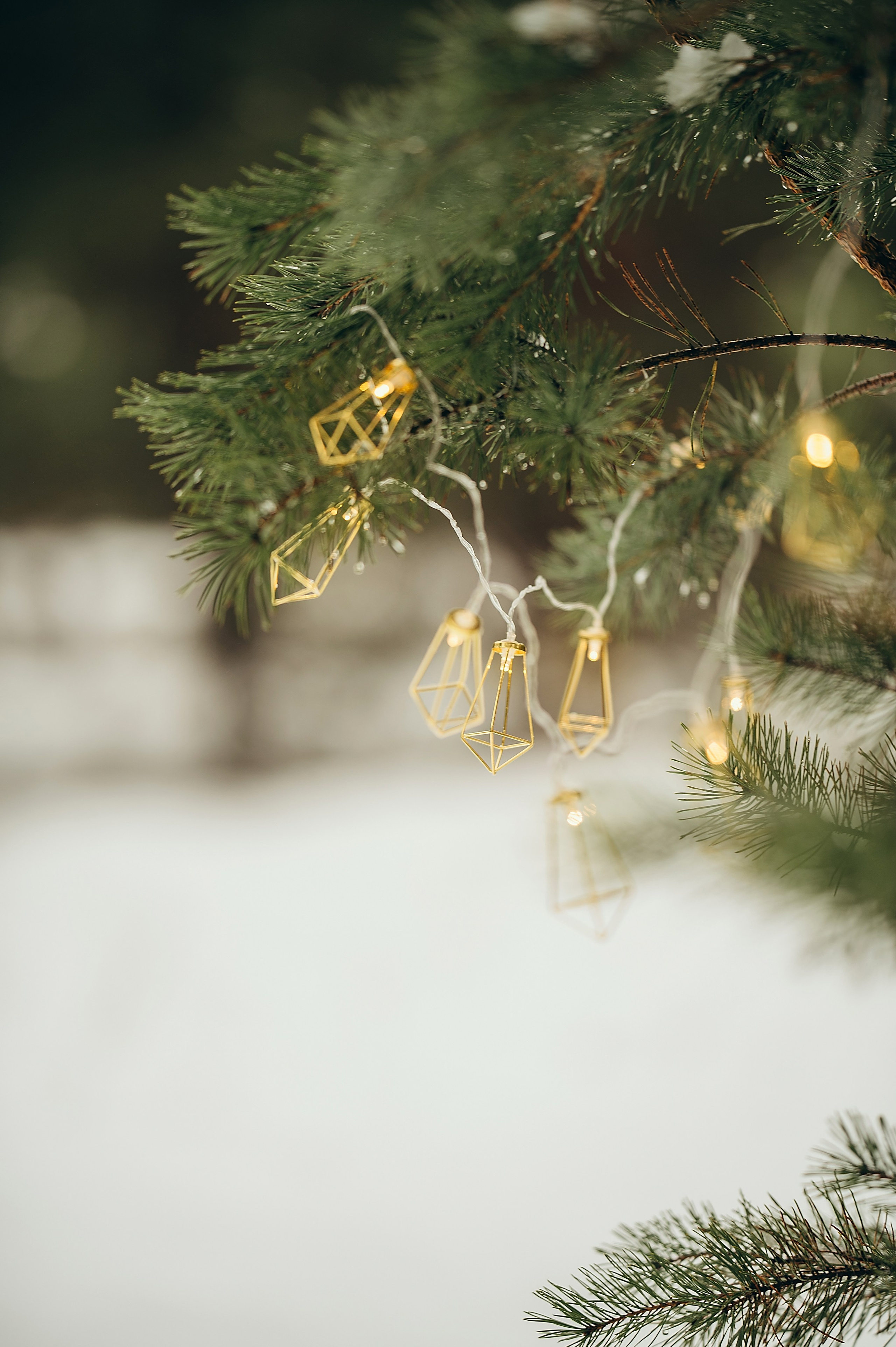 Мария & Алина. Семейный и детский фотограф в Шатках и Арзамасе Александра Магомедова