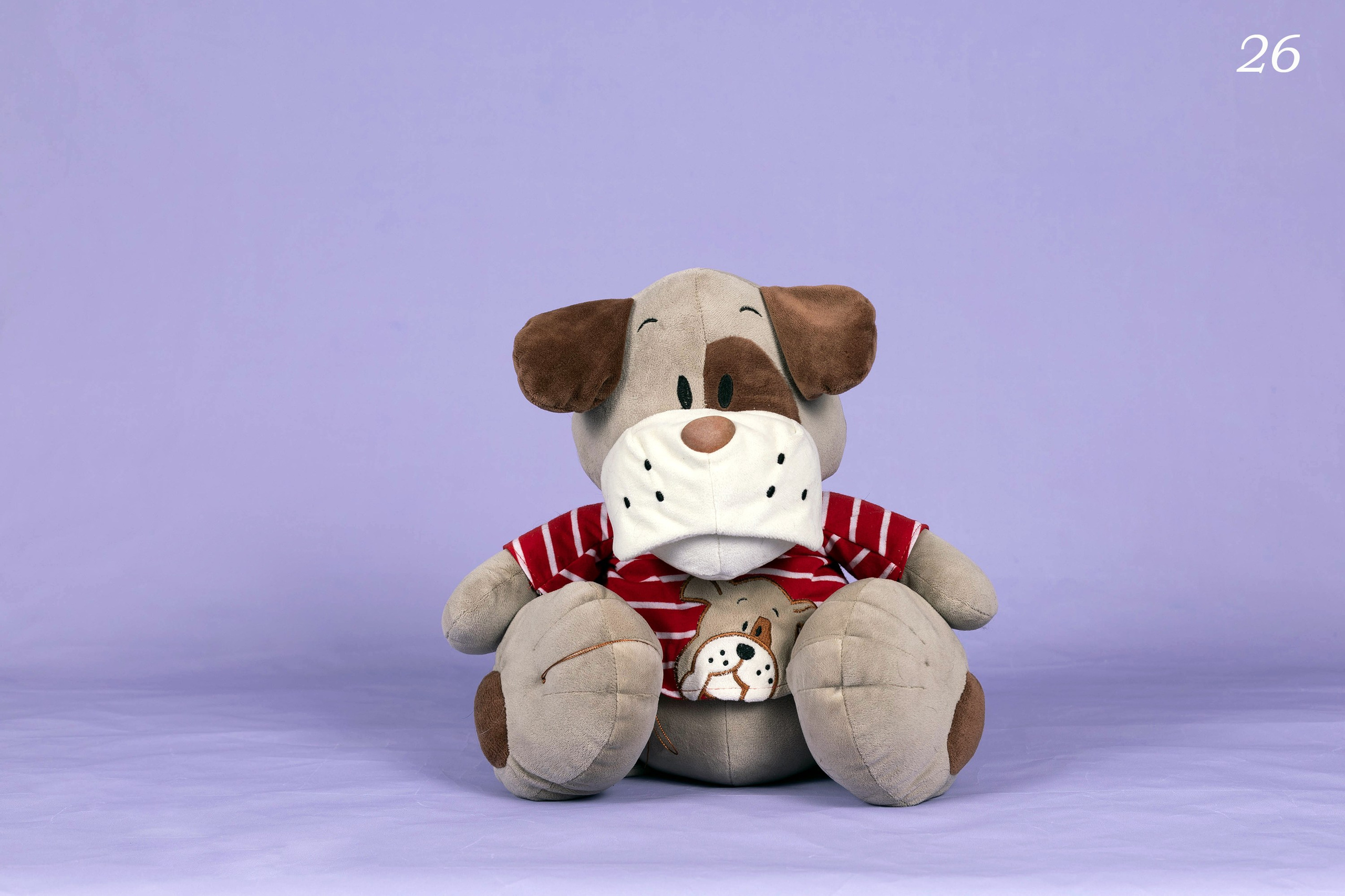 Пастельные фоны. Фотограф-анималист в Омске Екатерина Маричева