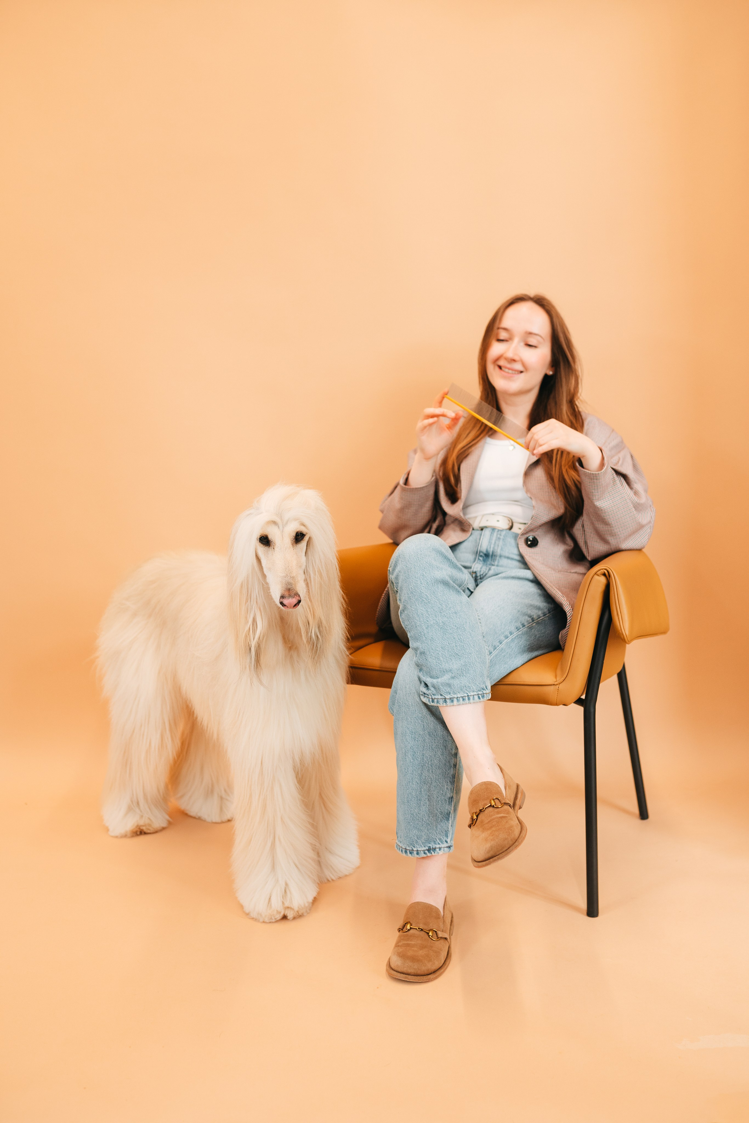 Груминг — салон. Фотограф анималист Осипчикова Мария