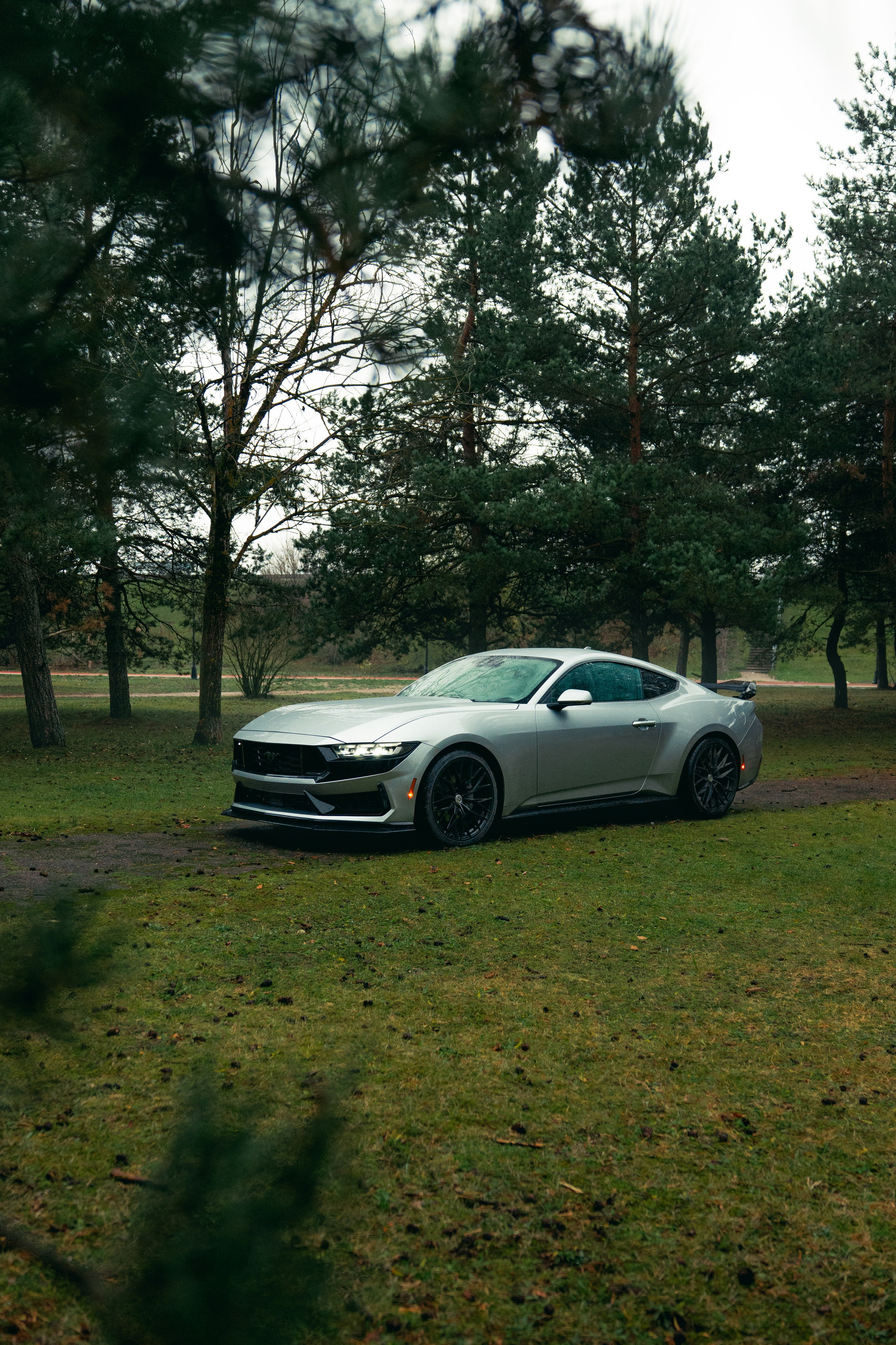 Фотографии Ford Mustang
