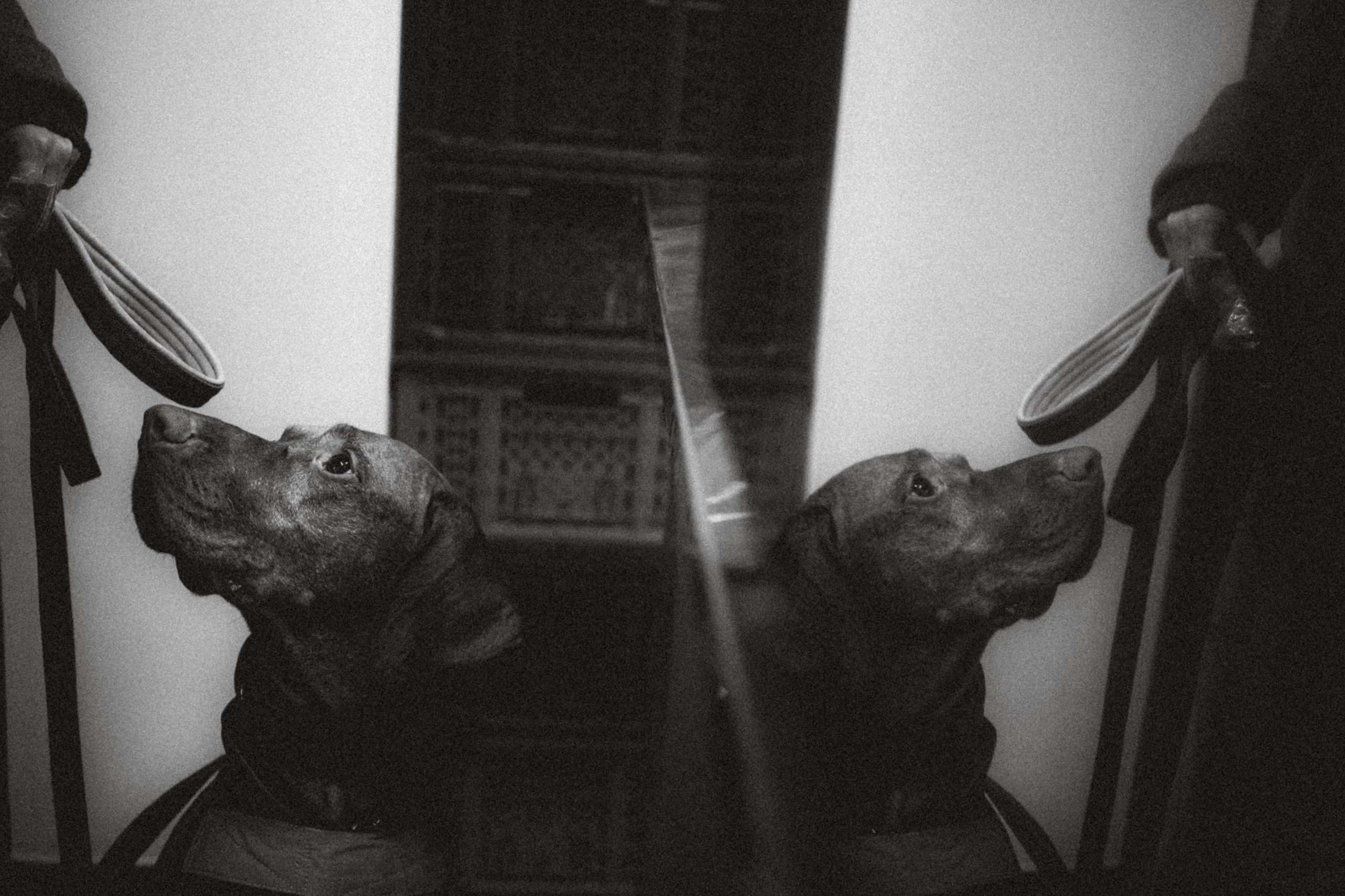 Екатерина и Даня