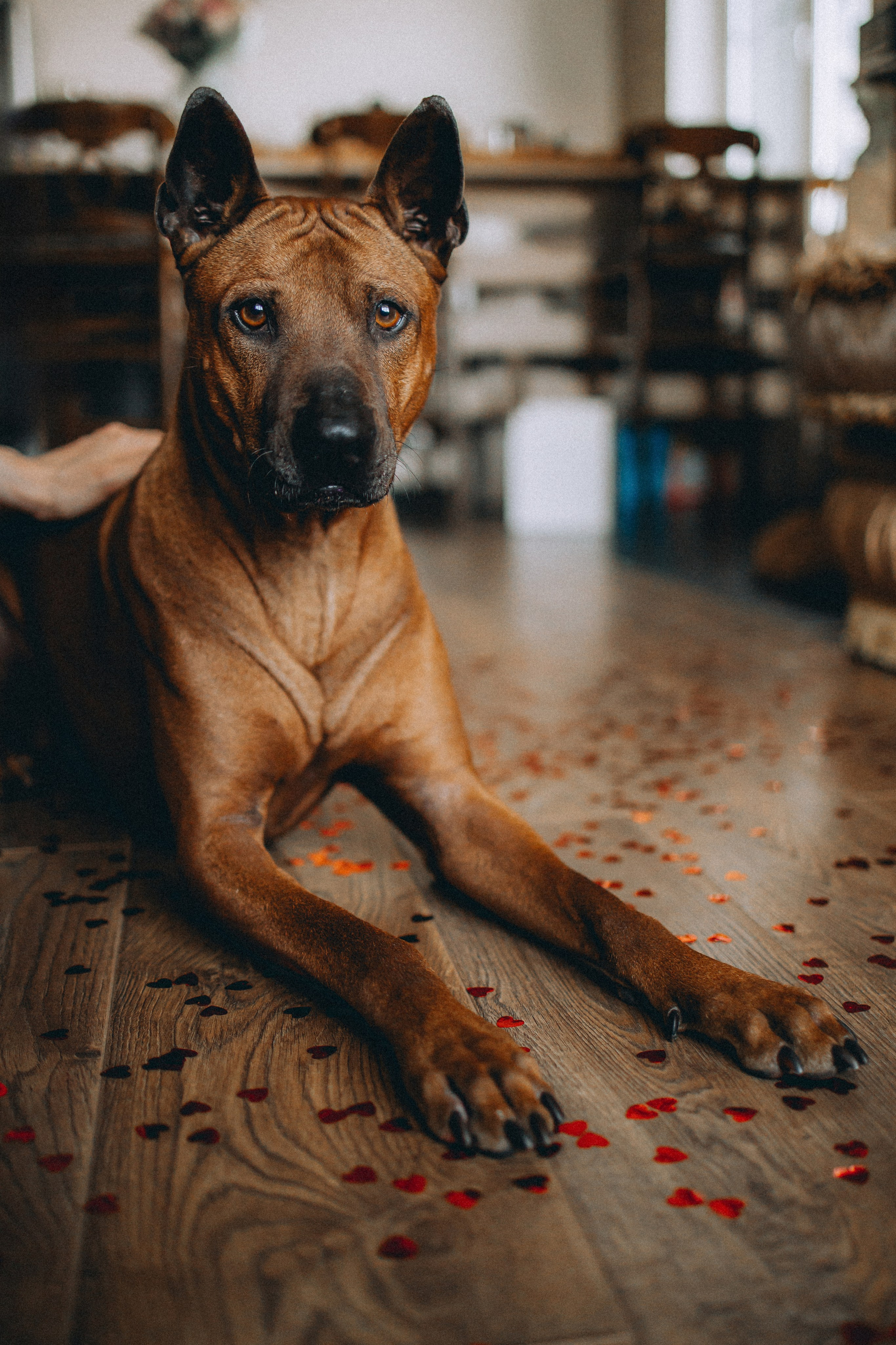 Оксана и Зевс