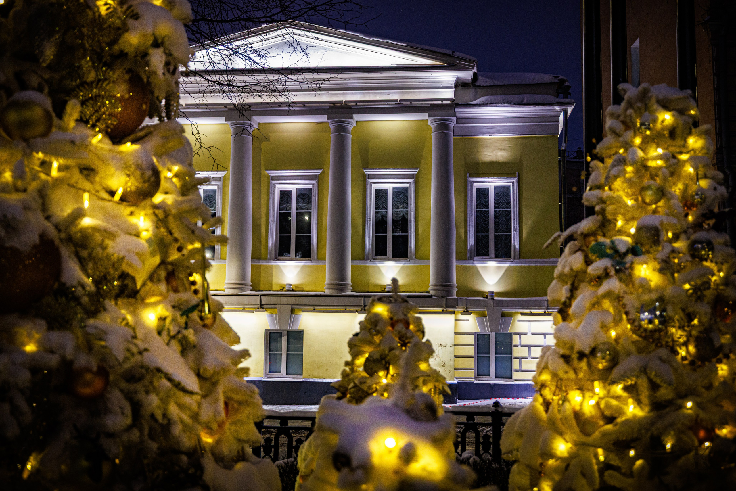 Бульвар. Январь 2026. Фотографирую жизнь! Московский фотограф волонтер