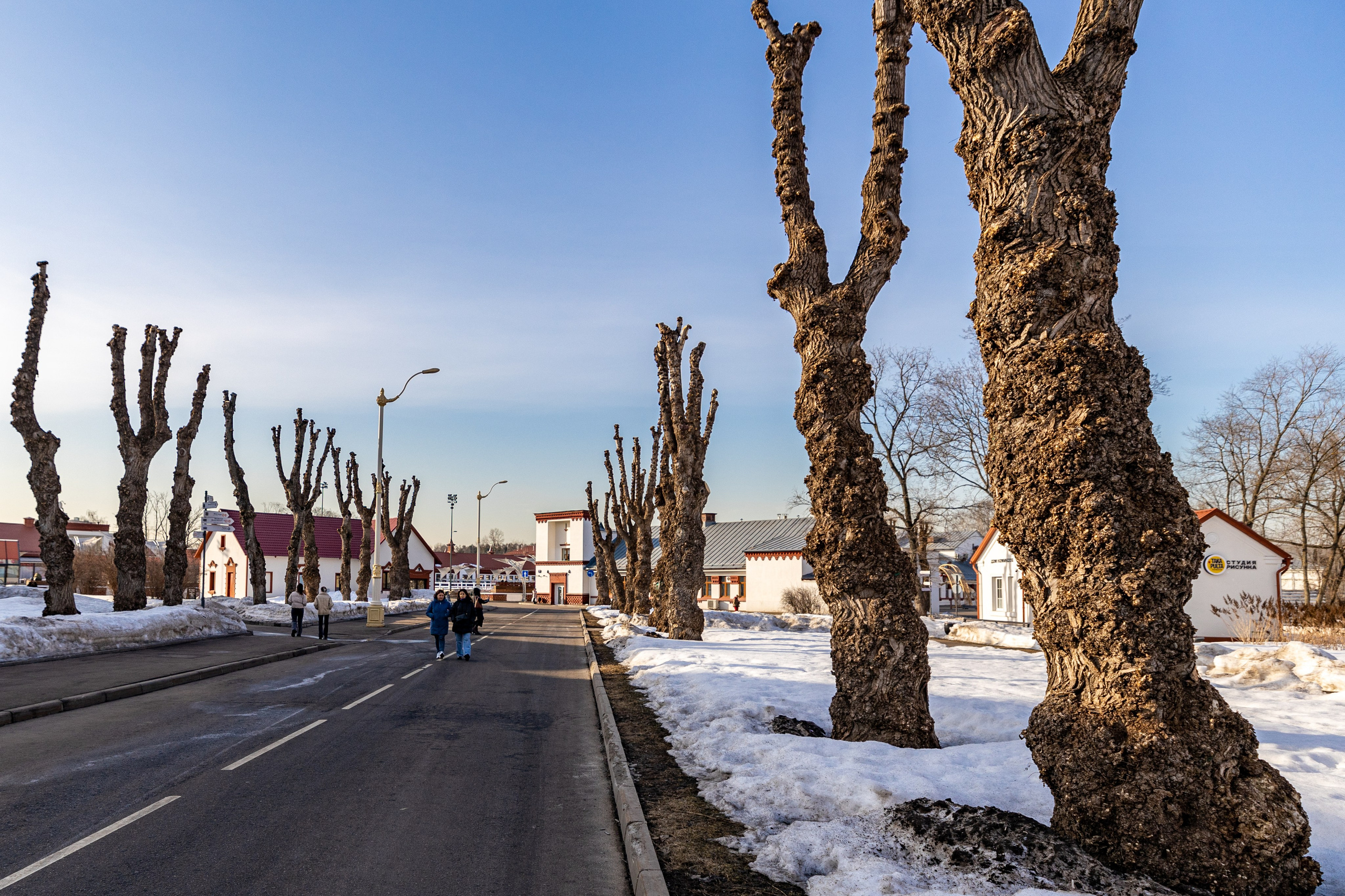 Выставка в павильоне АТОМ. Фотографирую жизнь! Московский фотограф волонтер