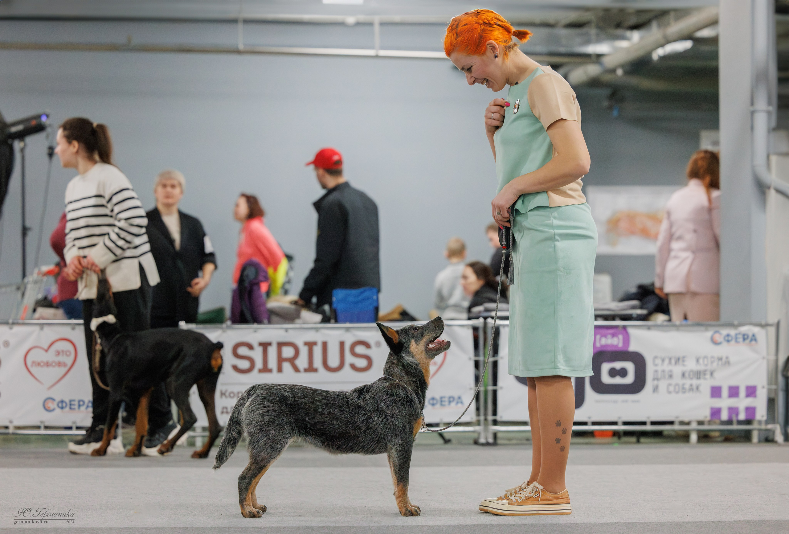 Сфера и Крокус 8,9,16 и 30.03.2025. Фотограф-анималист Юлия Германика