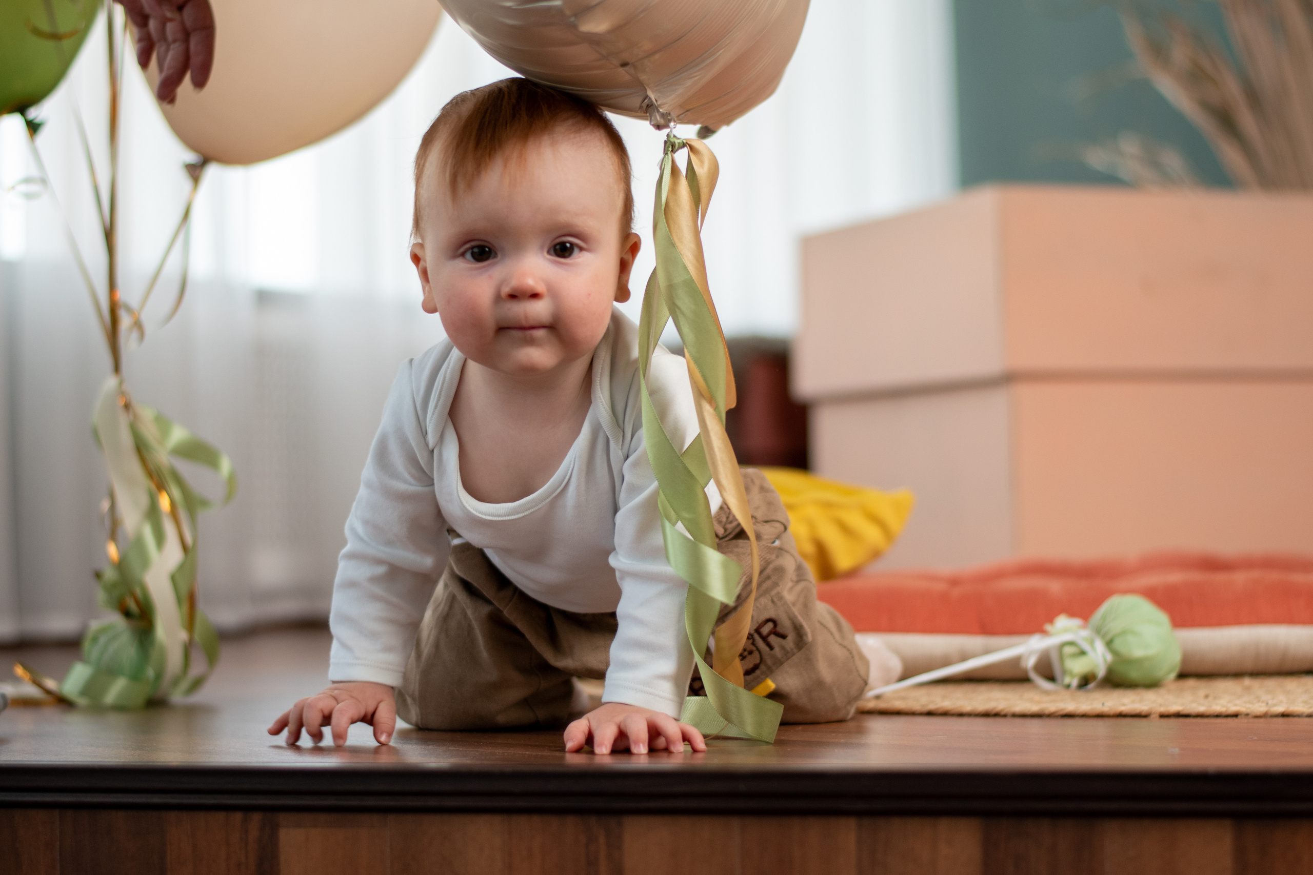 Феде годик. Елена Рязанцева Ваш фотограф в городе Тула