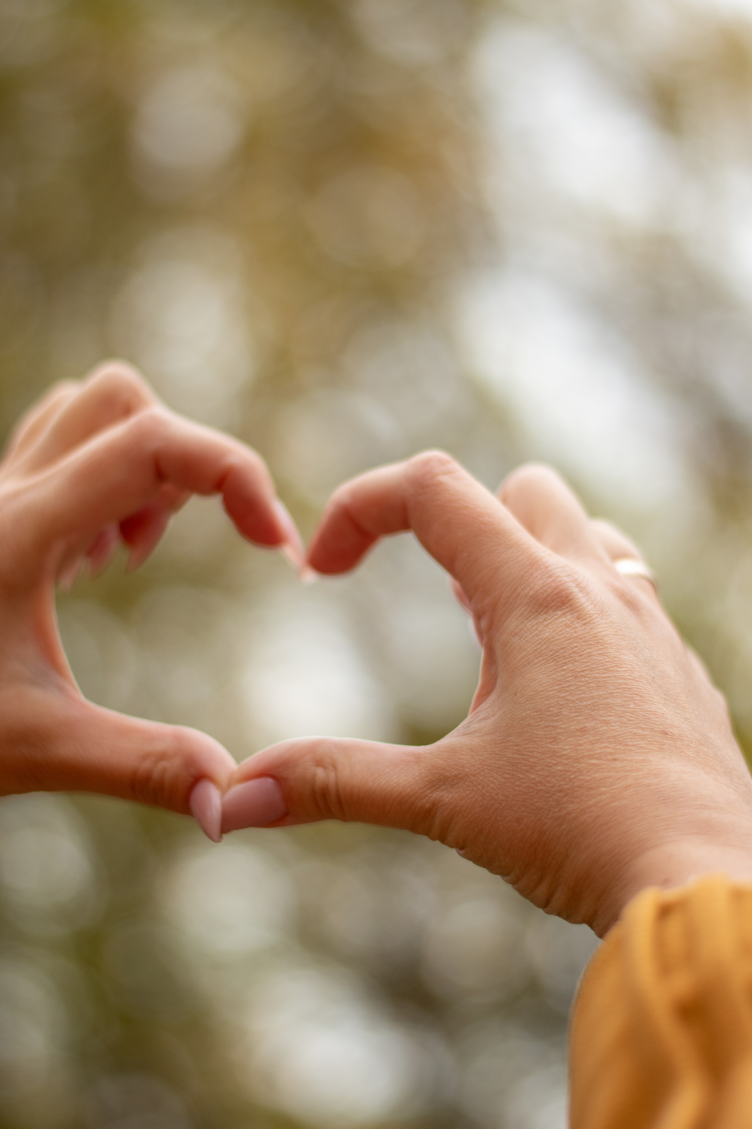 Краски осени. Елена Рязанцева Ваш фотограф в городе Тула