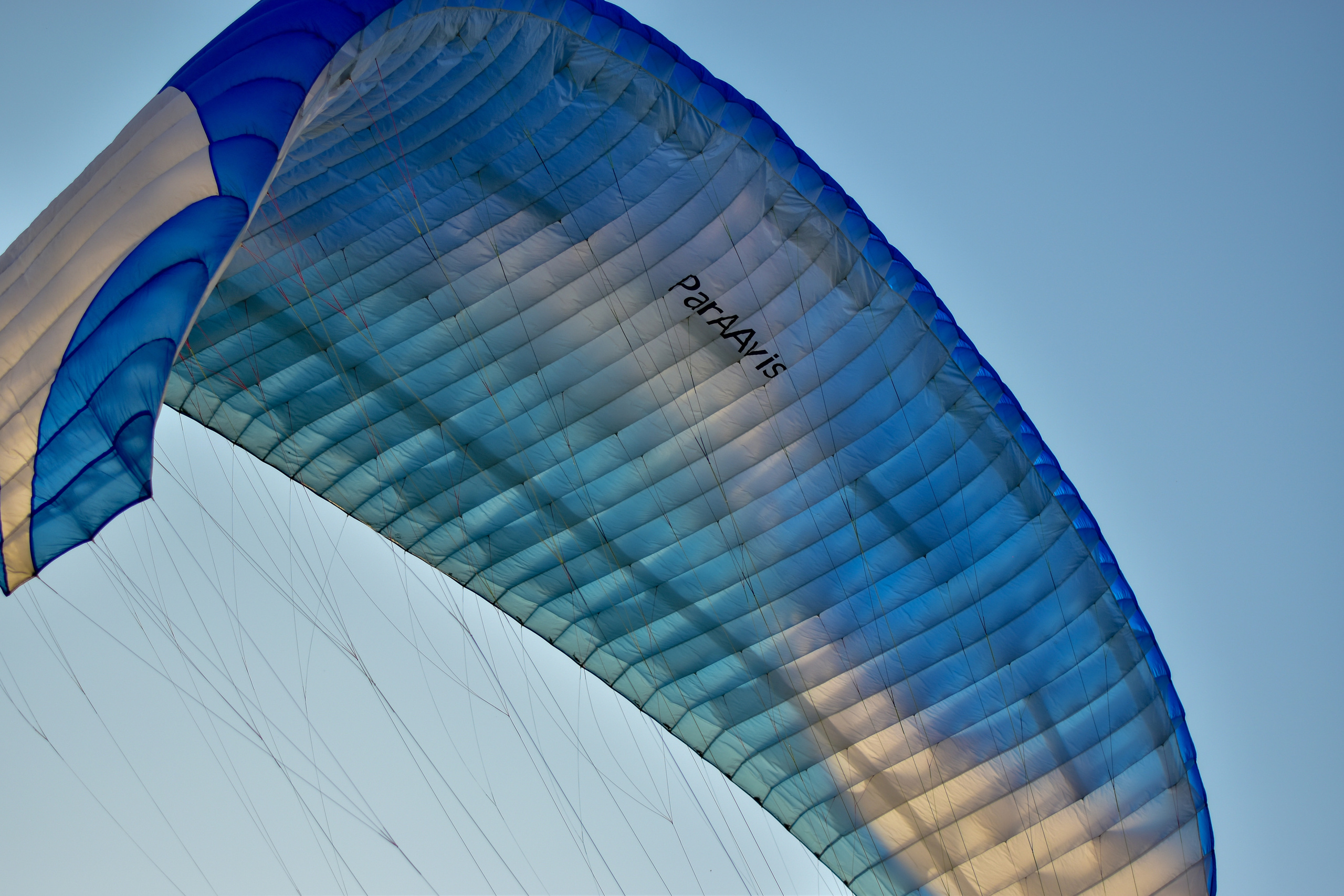 Небо. Самолет. Девушка. Елена Рязанцева Ваш фотограф в городе Тула