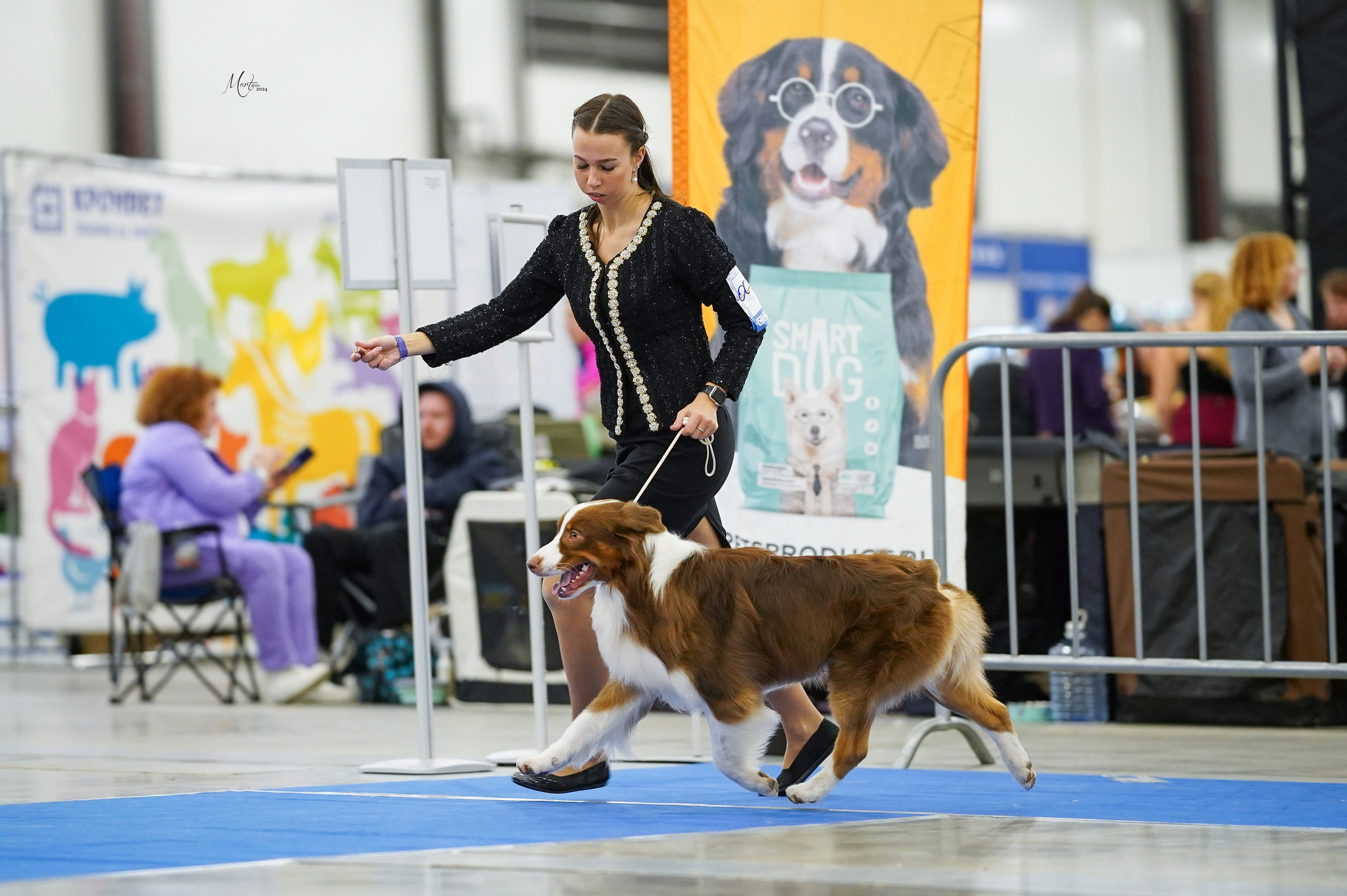 Выставки 2024. Фотограф-анималист в Санкт-Петербурге Яна Мартынова
