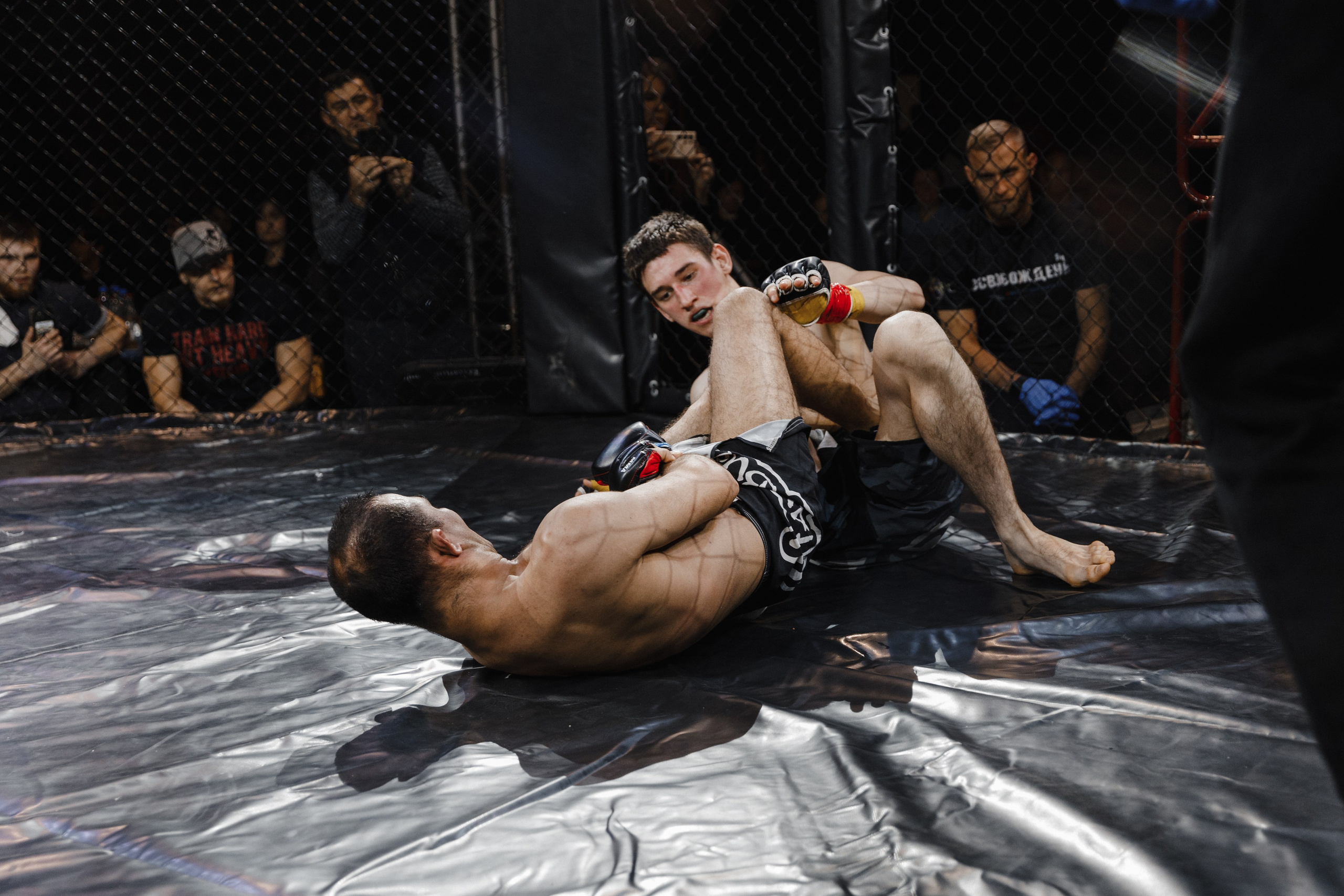 Турнир по ММА «Освобождение» 2023 г. Истра. Свадебный фотограф Фадеева Алёна