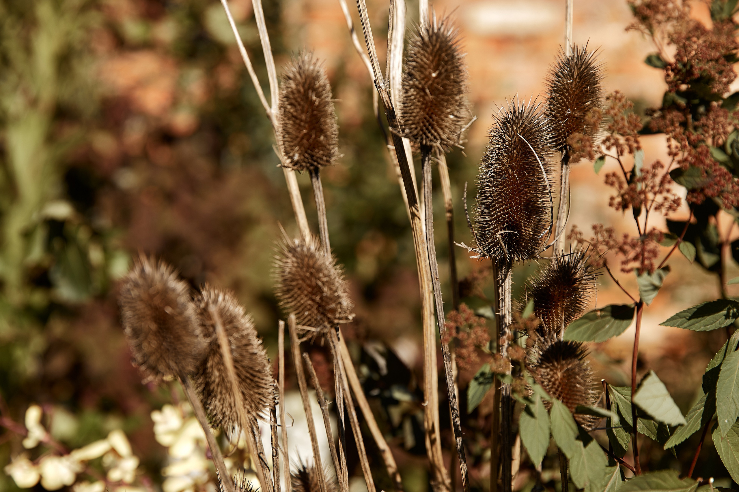 Ваня и Наташа. Свадебный фотограф в Москве Николай Болт