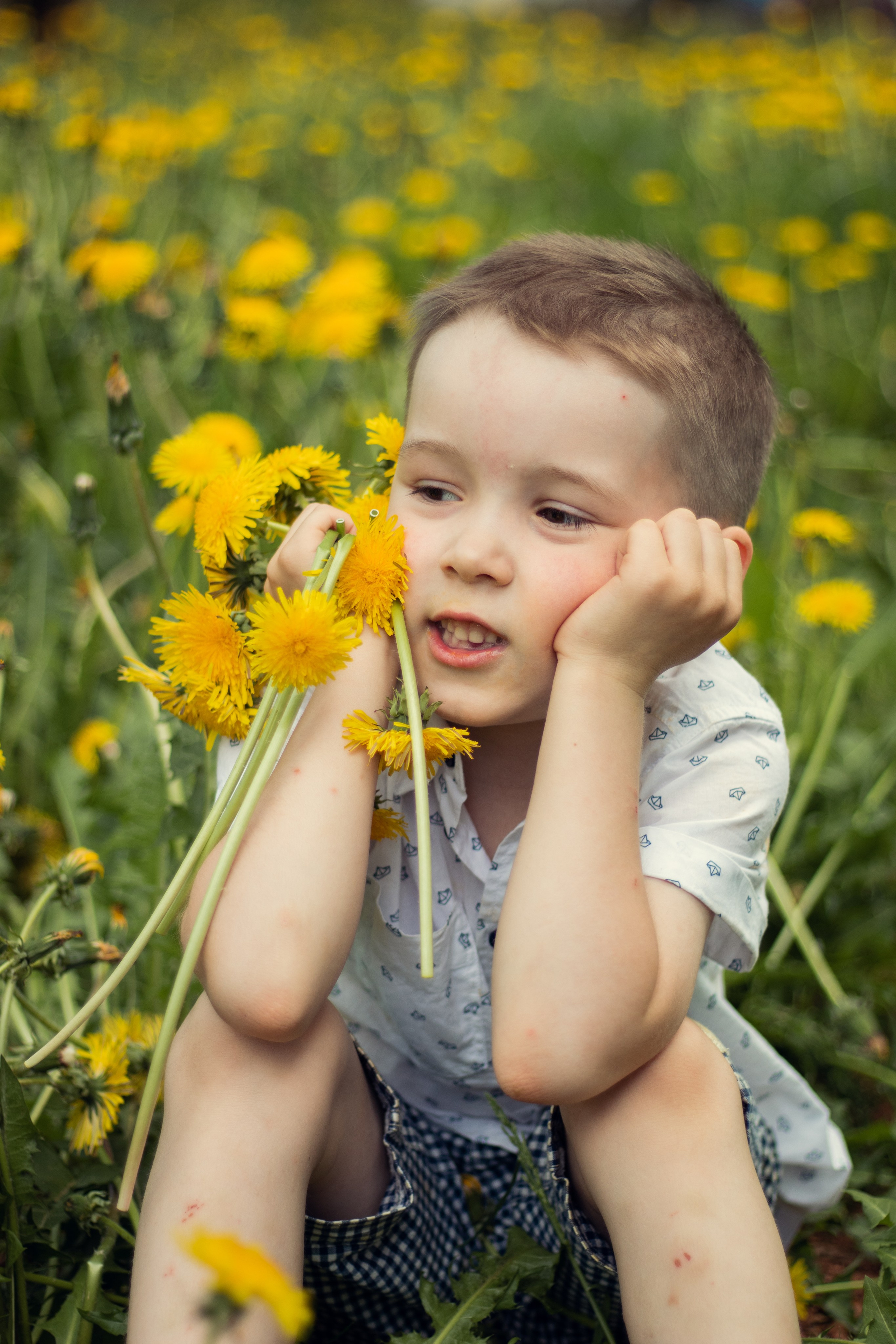 Одуванчиковое настроение