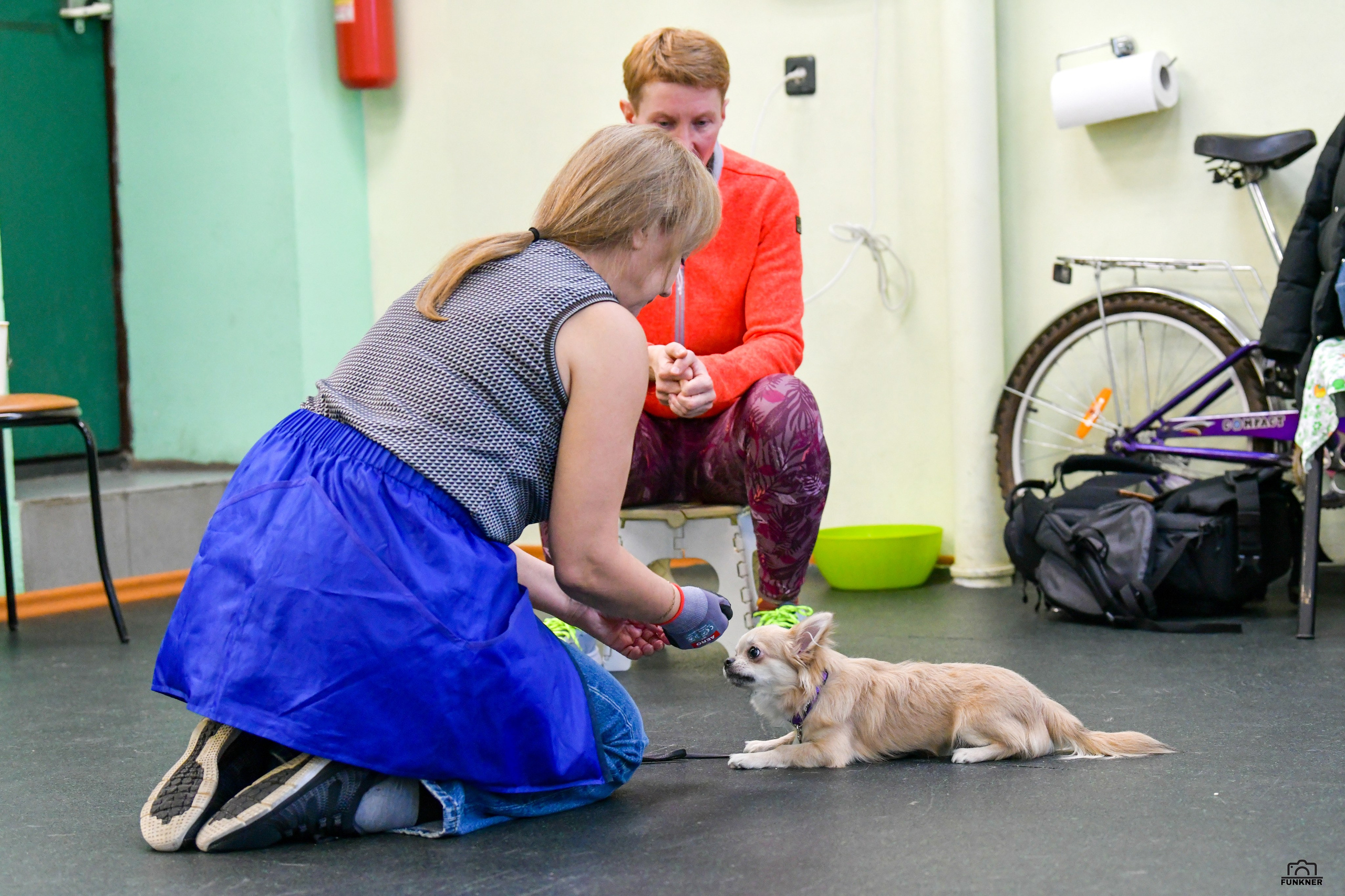 Кинологический клуб «Бодрый хвост». Свой взгляд через объектив