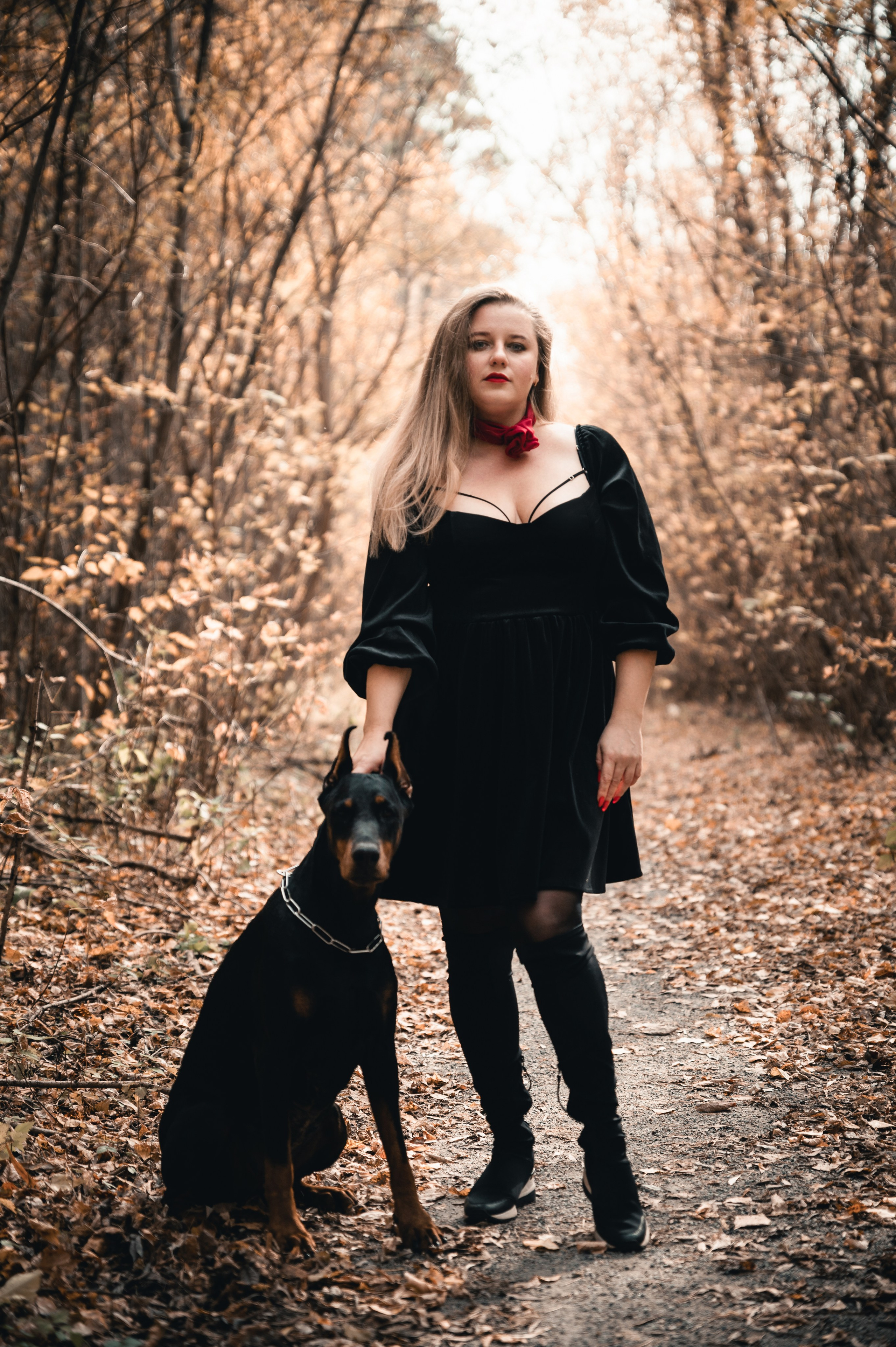 Съемка с доберманами. Фотограф в Новосибирске