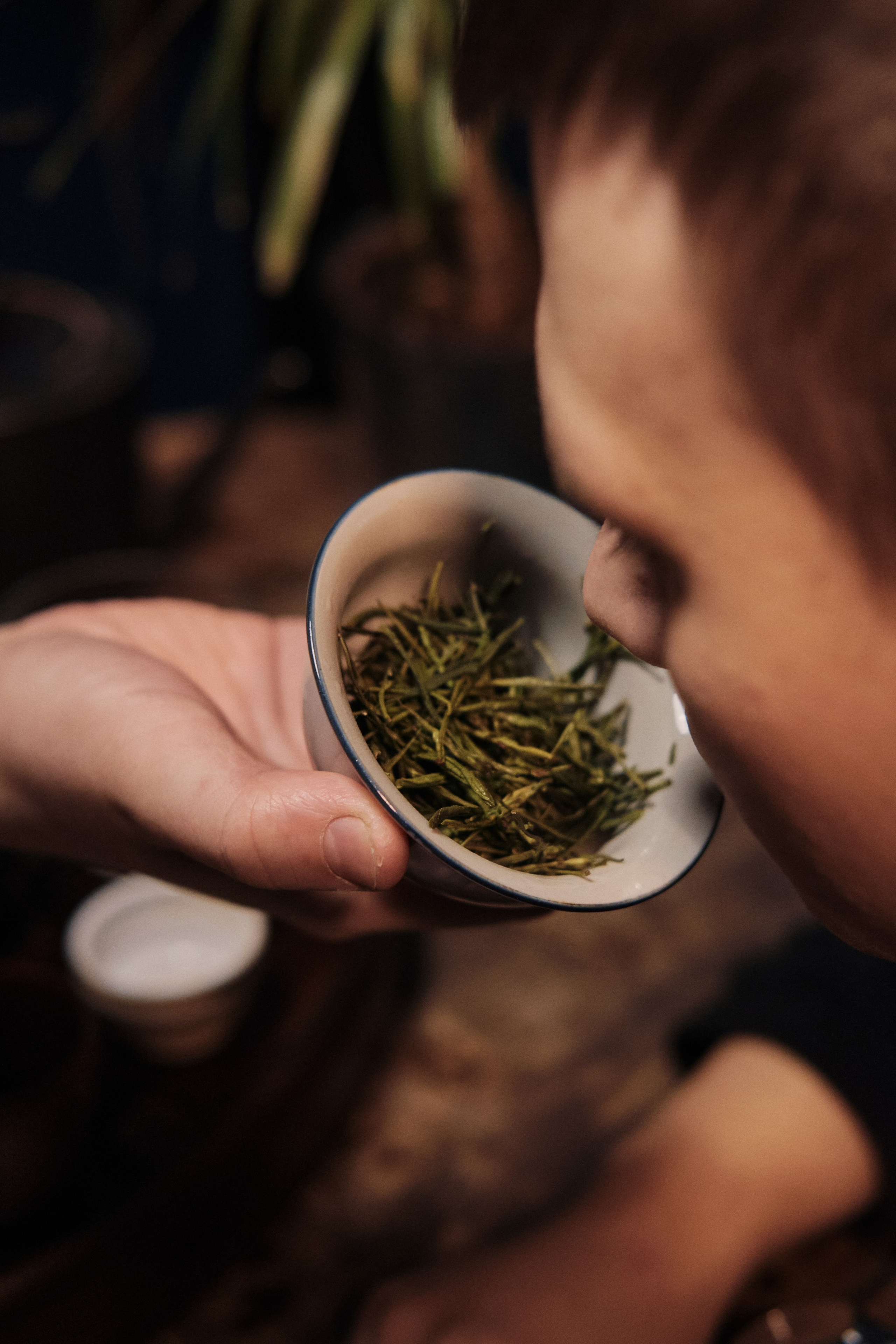 Белая панда — магазин чайных ощущений. Артём Кузнецов, фотограф, Новосибирск