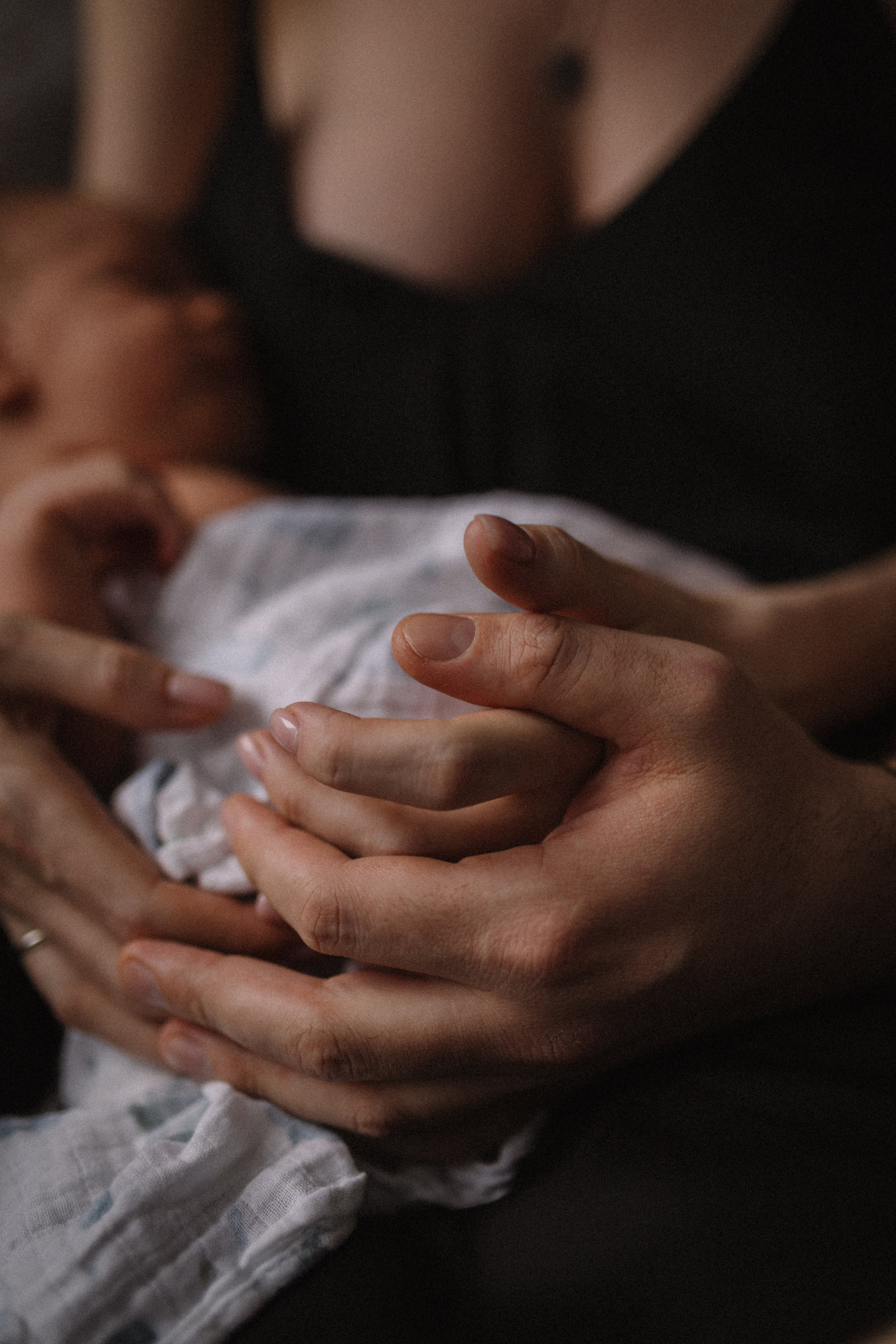Лев. Семейный фотограф в Москве и Люберцах Юлия Гуськова