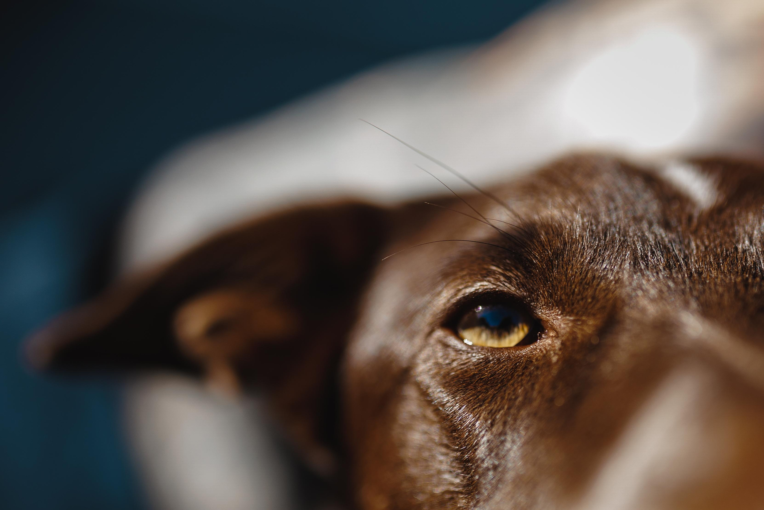 Никита. Фотограф в Ростове-на-Дону Ника Обида